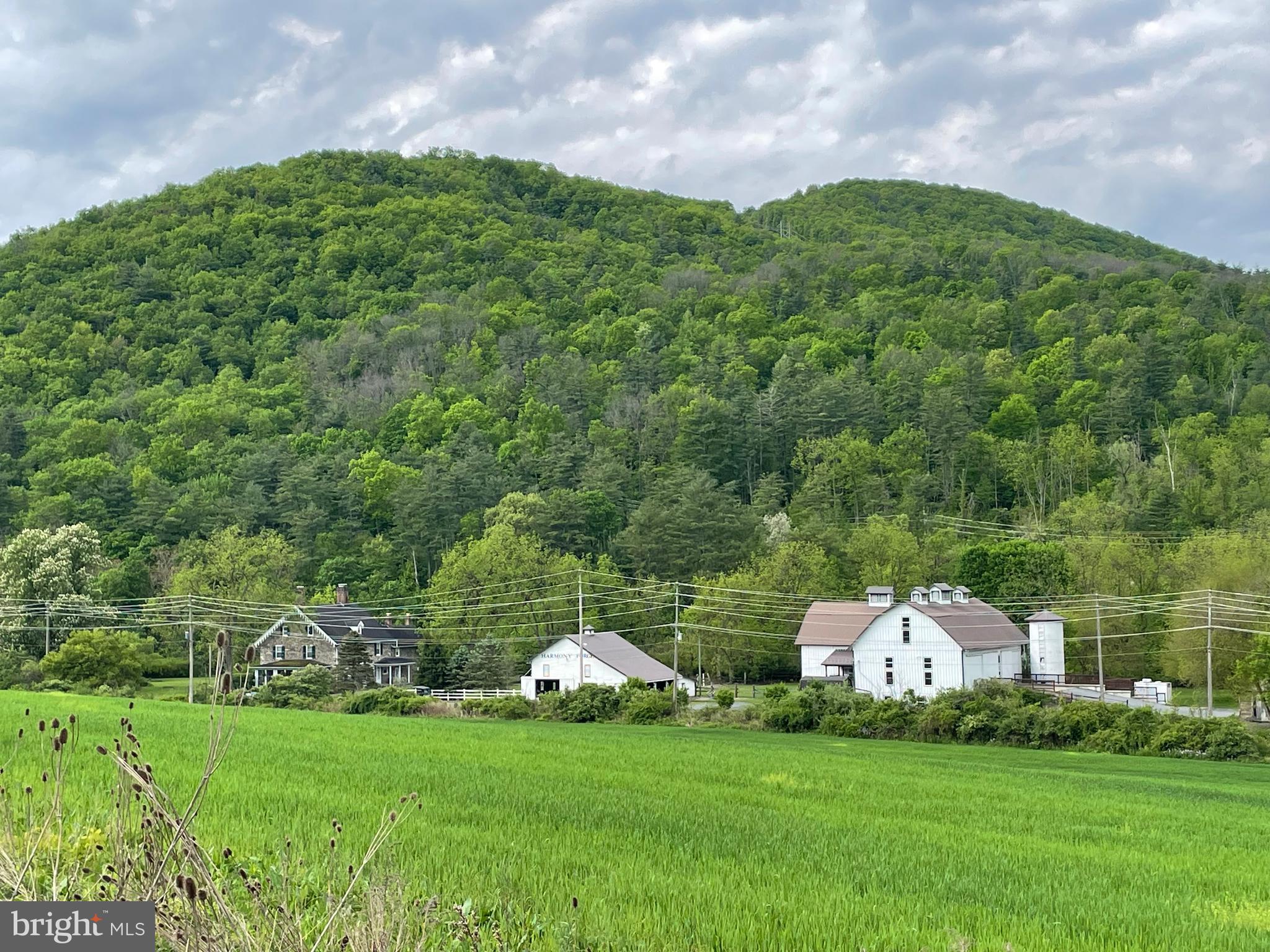 NONE AVAILABLE - Farm