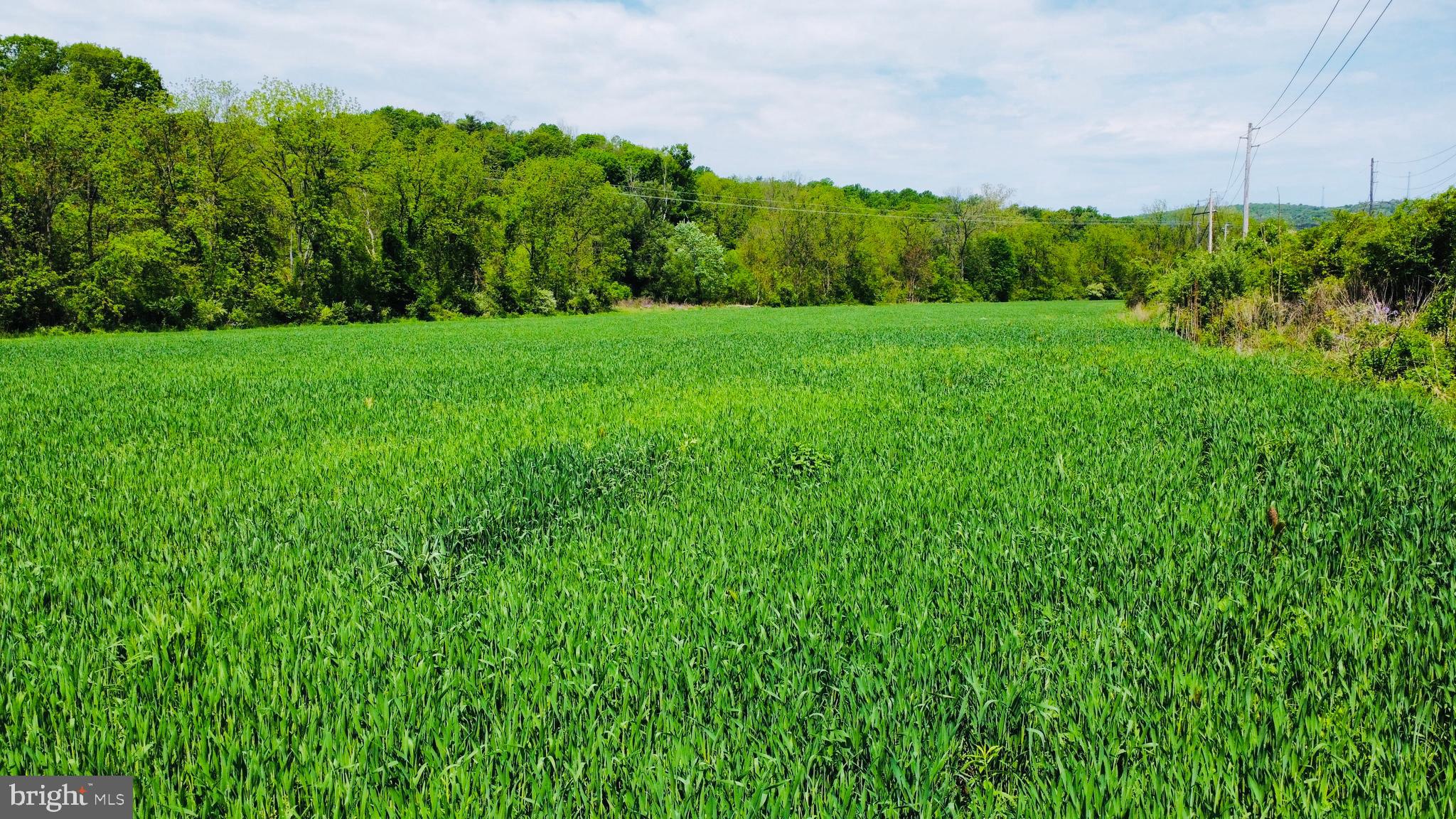 NONE AVAILABLE - Farm