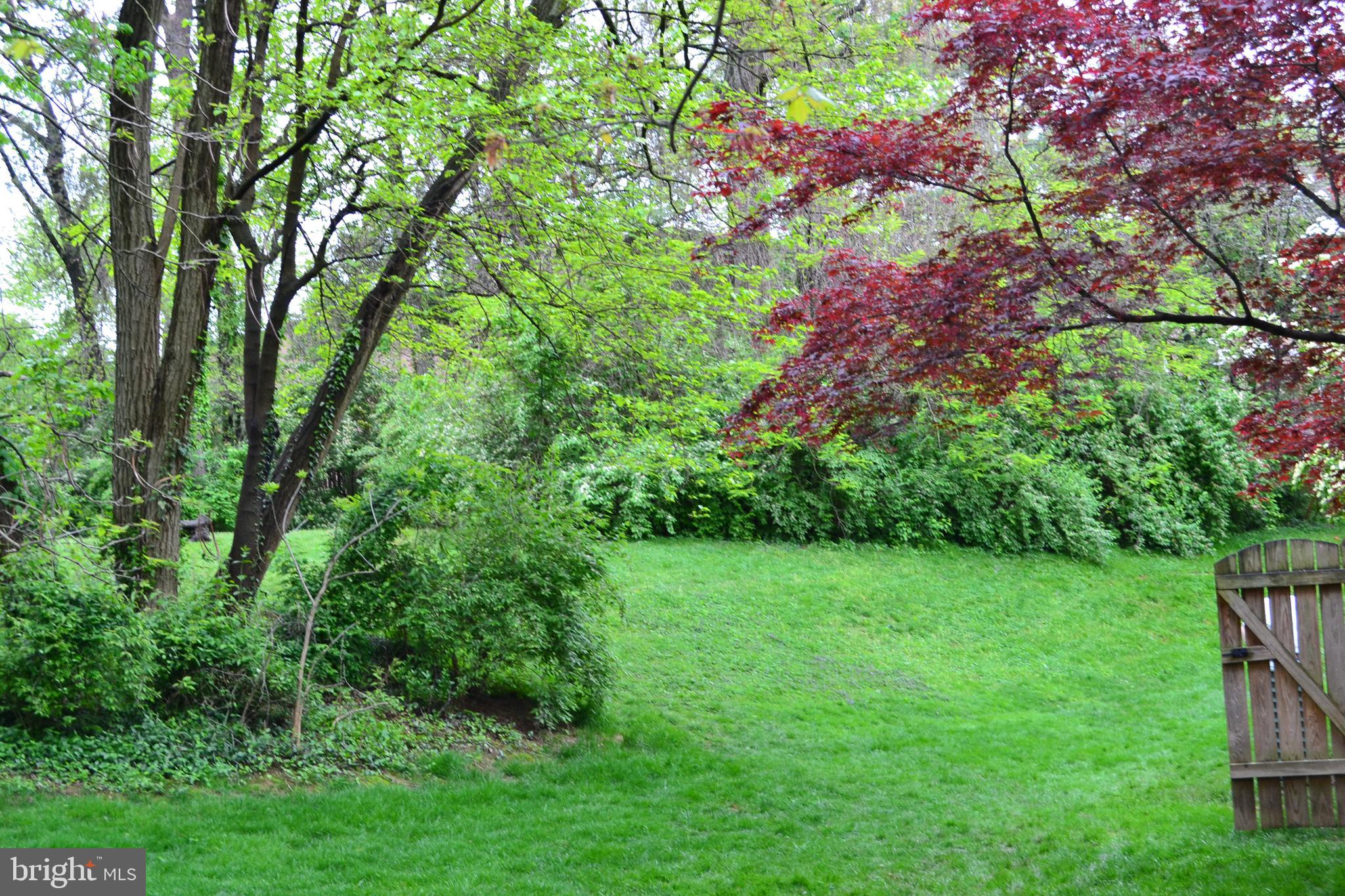 SYCAMORE HEIGHTS - Residential