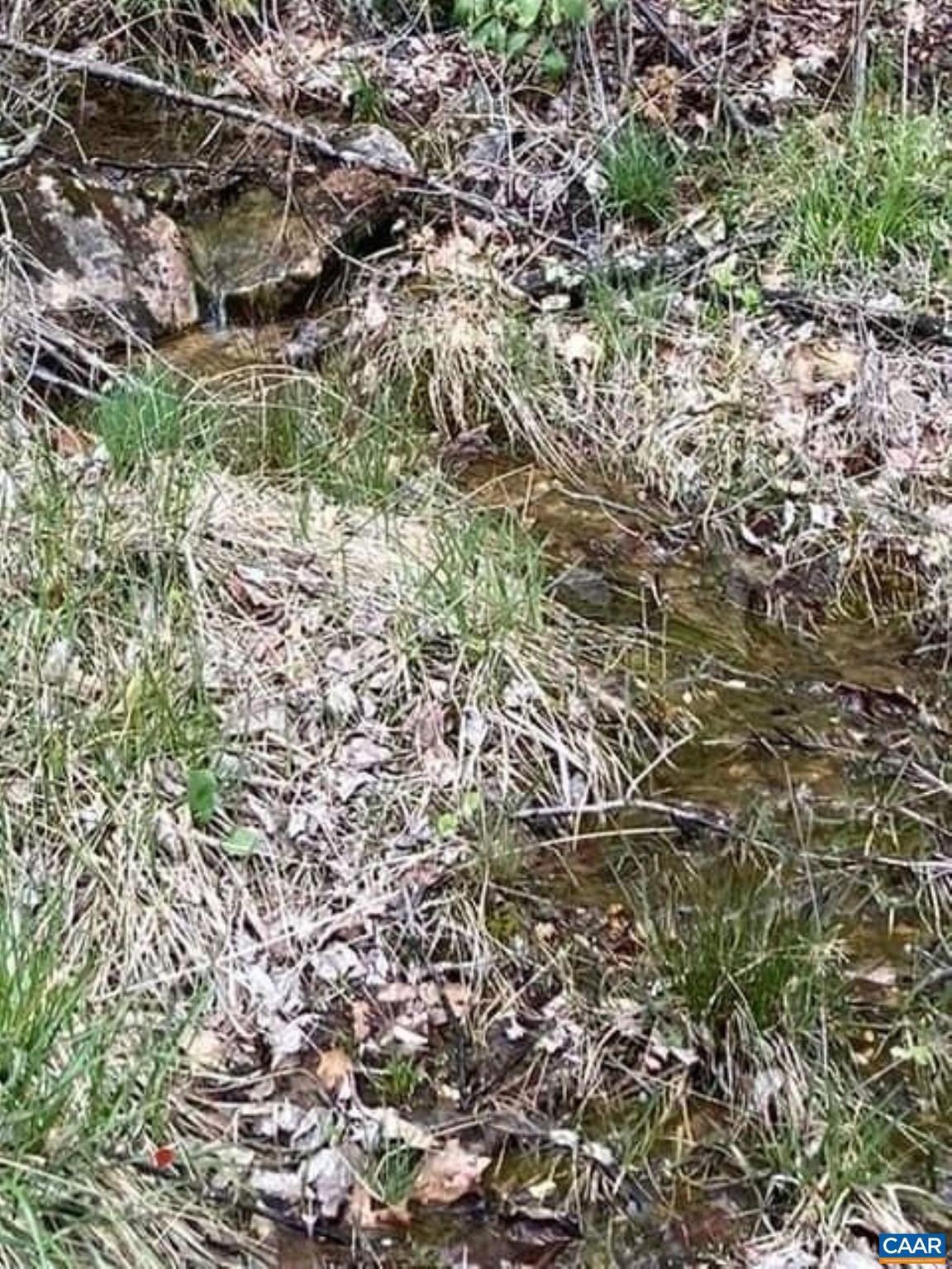 SHENANDOAH FOREST - Land