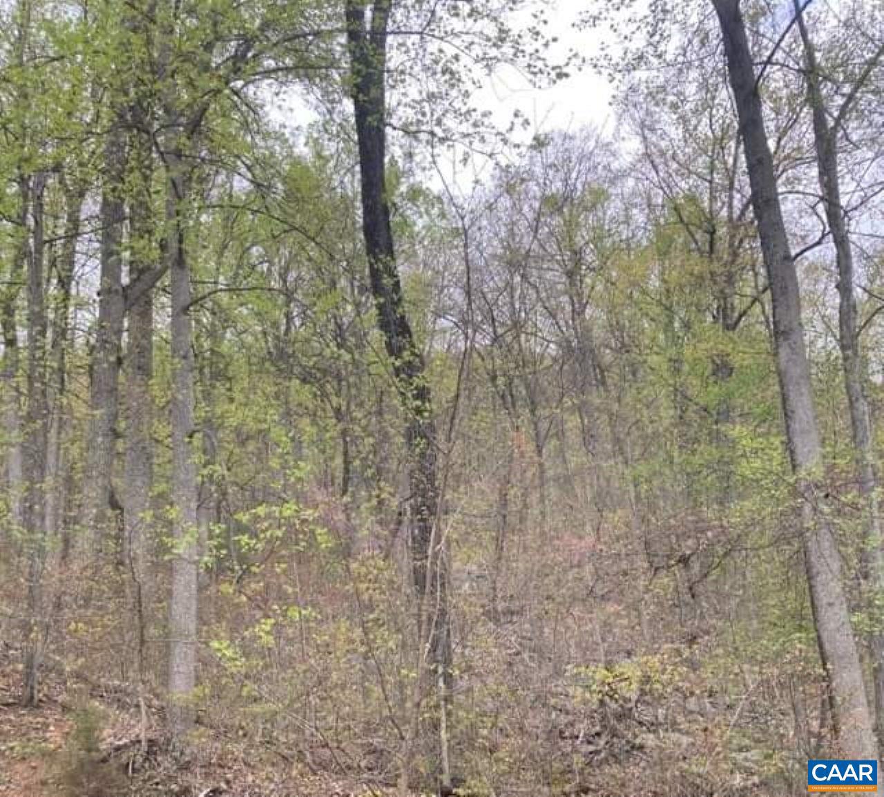 SHENANDOAH FOREST - Land