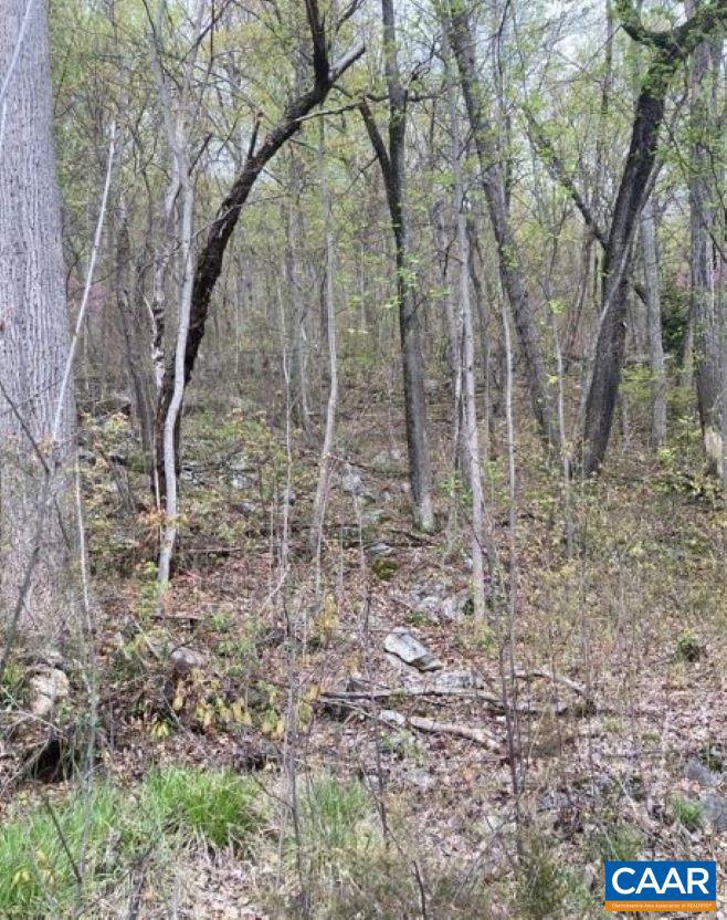 SHENANDOAH FOREST - Land