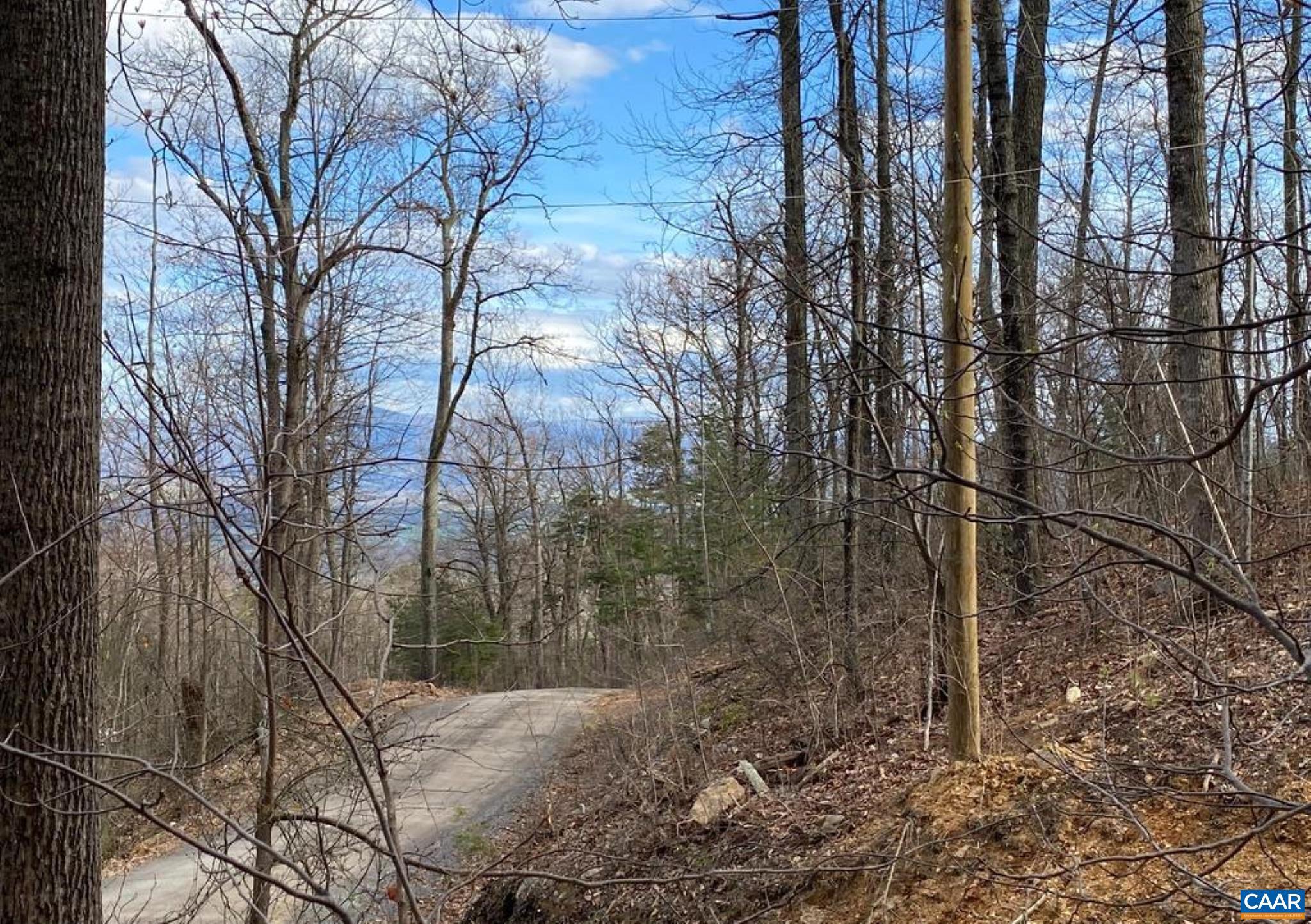 SHENANDOAH FOREST - Land