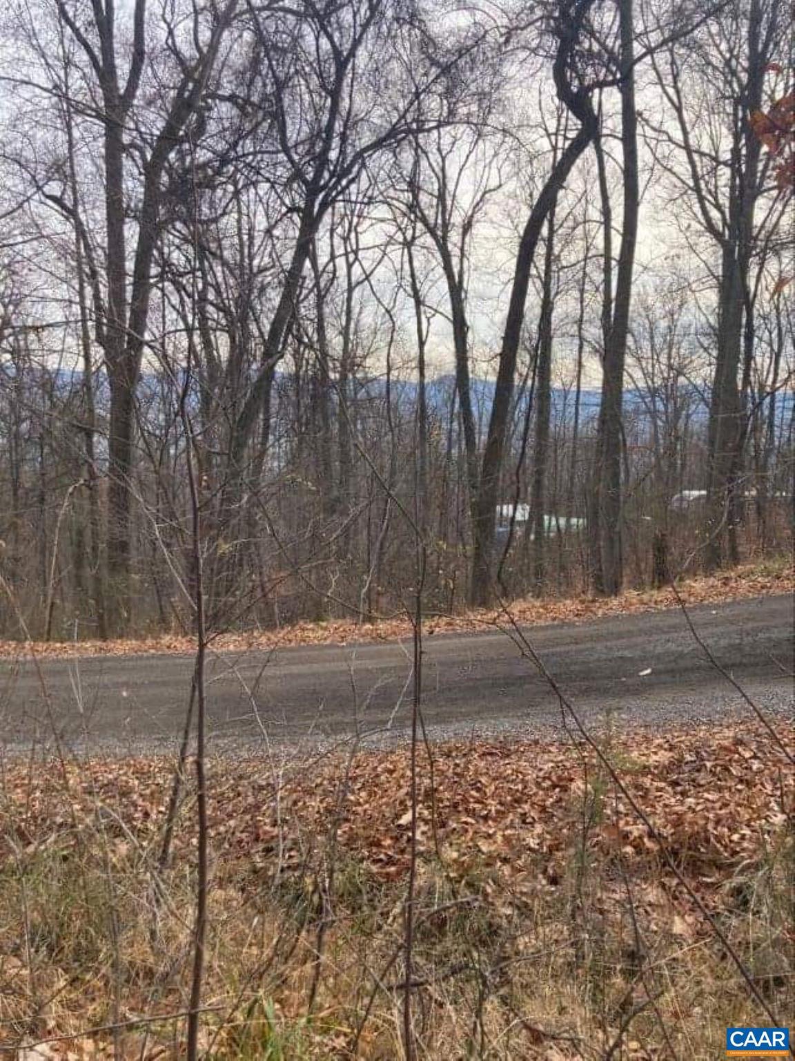 SHENANDOAH FOREST - Land