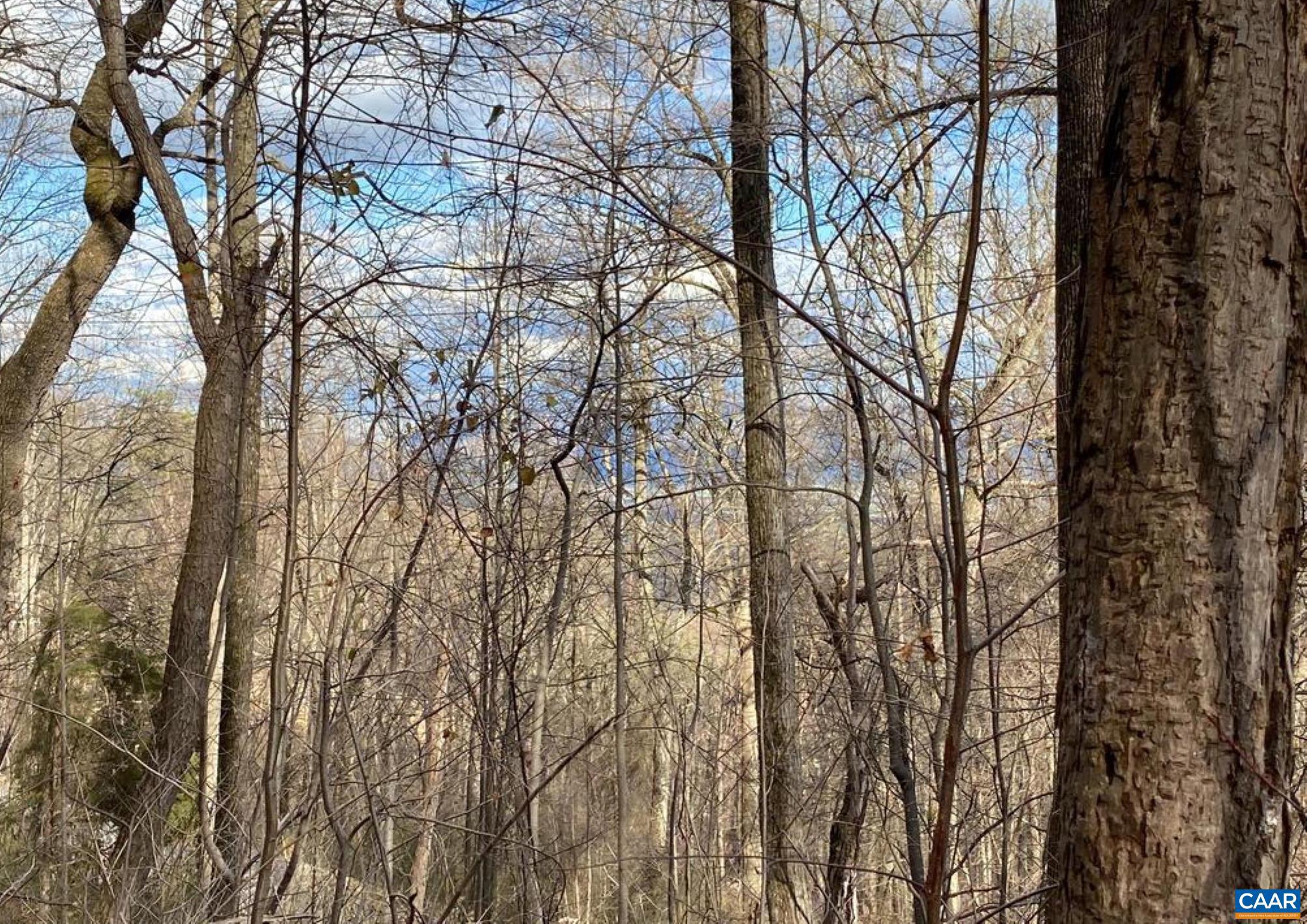 SHENANDOAH FOREST - Land