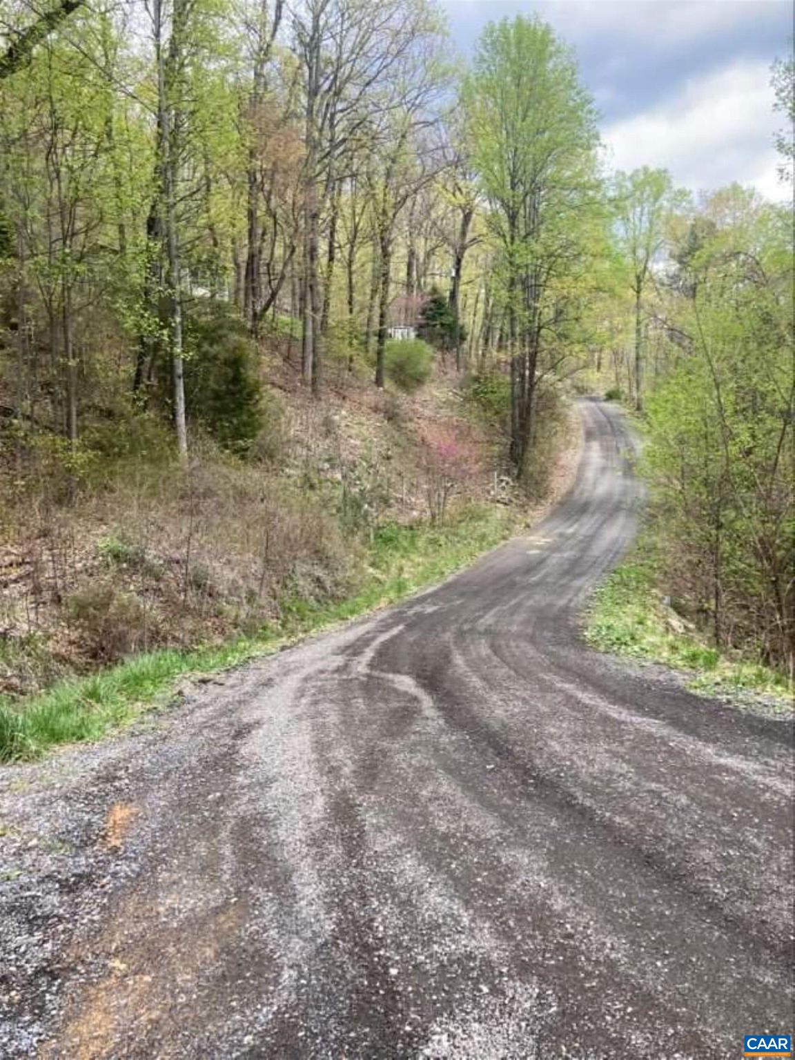 SHENANDOAH FOREST - Land