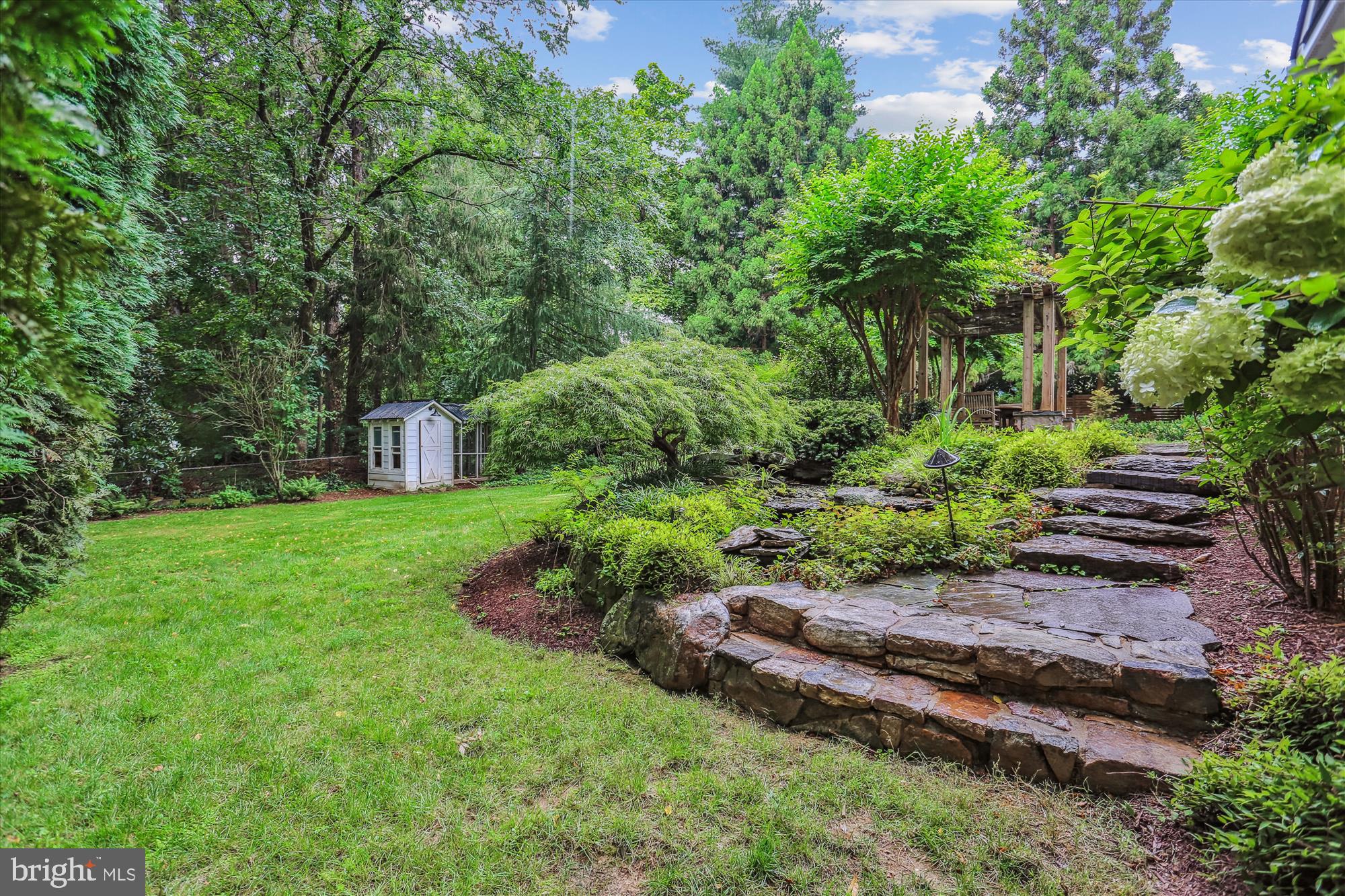 CHEVY CHASE VIEW - Residential