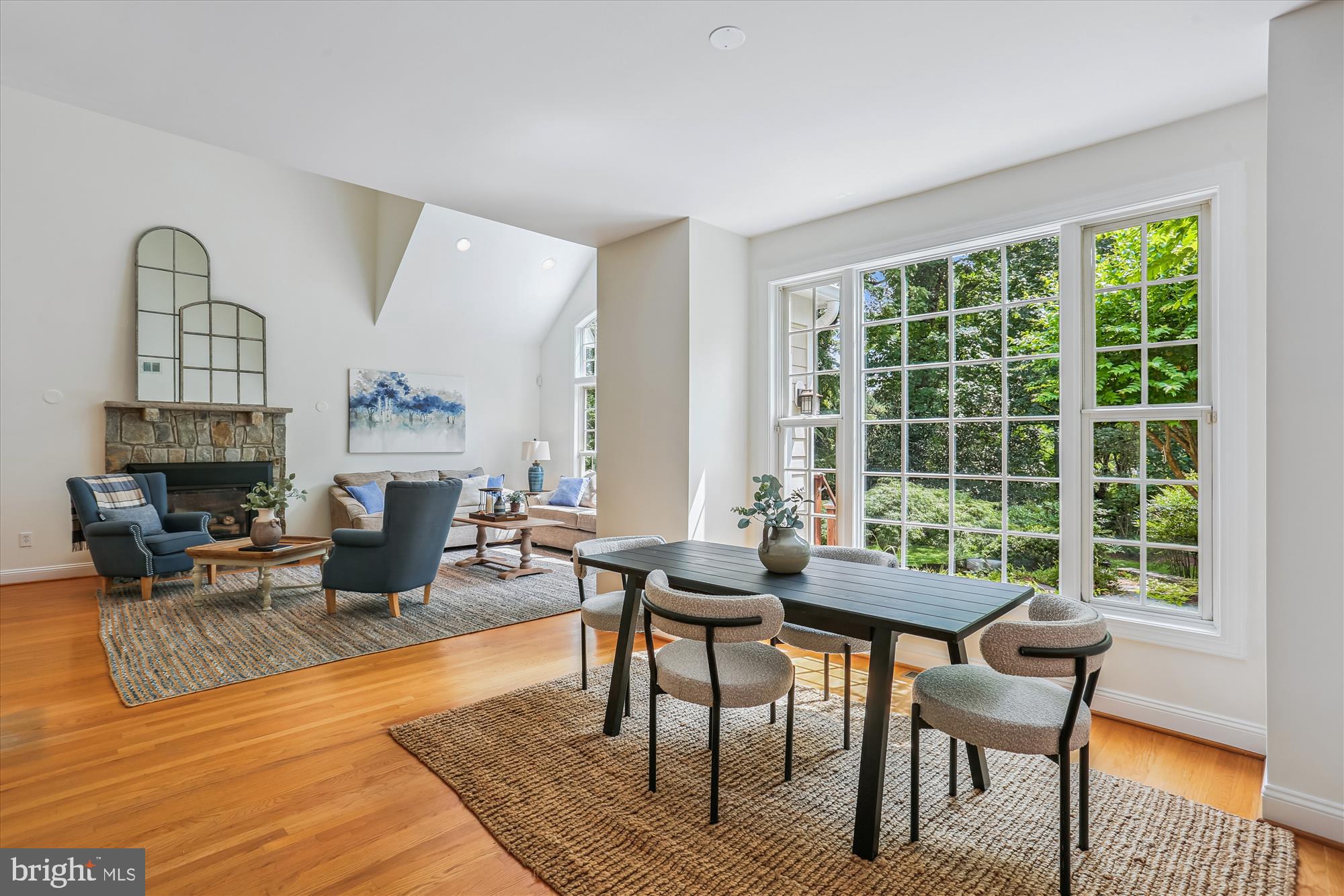 CHEVY CHASE VIEW - Residential