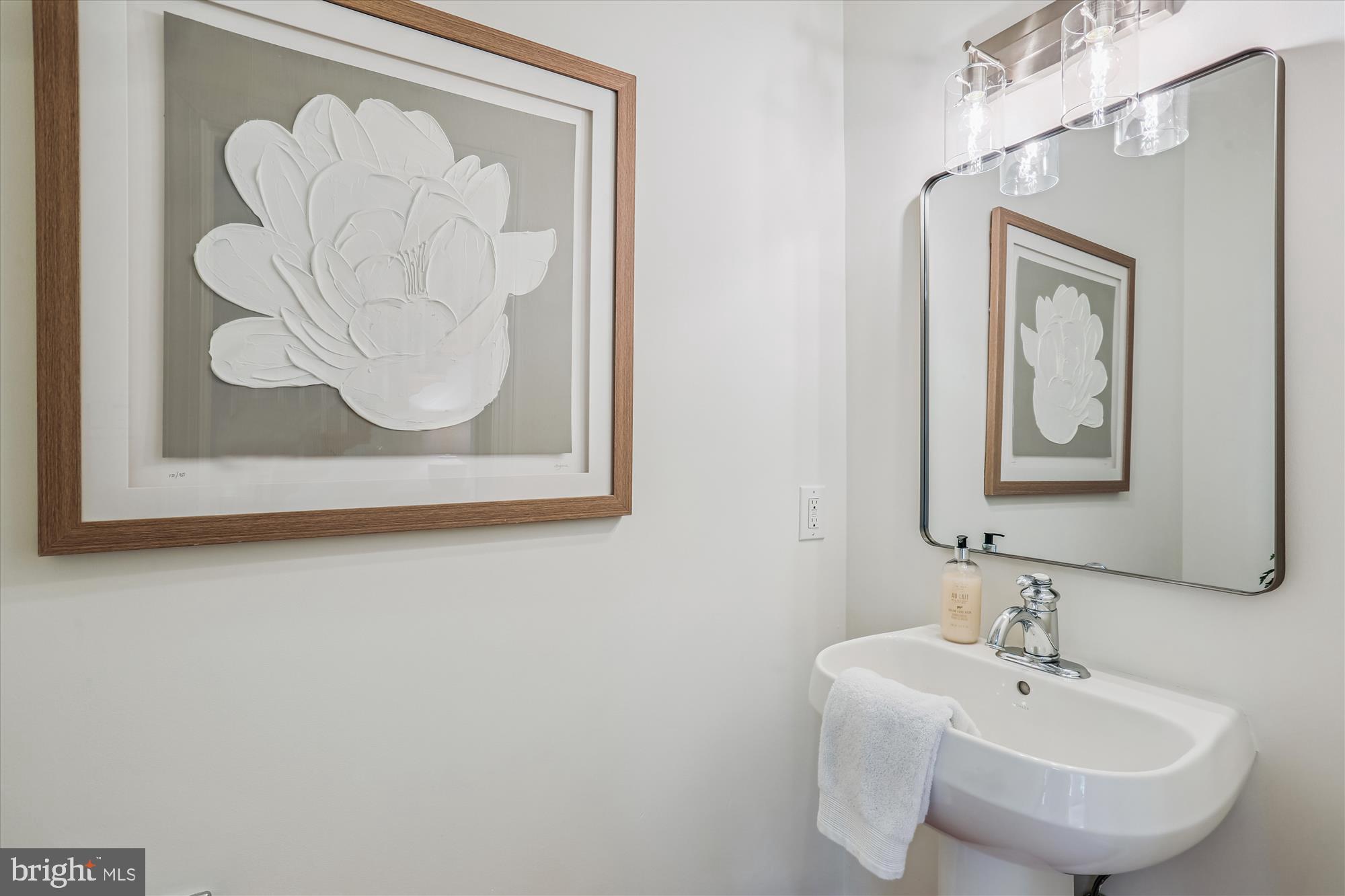 CHEVY CHASE VIEW - Residential