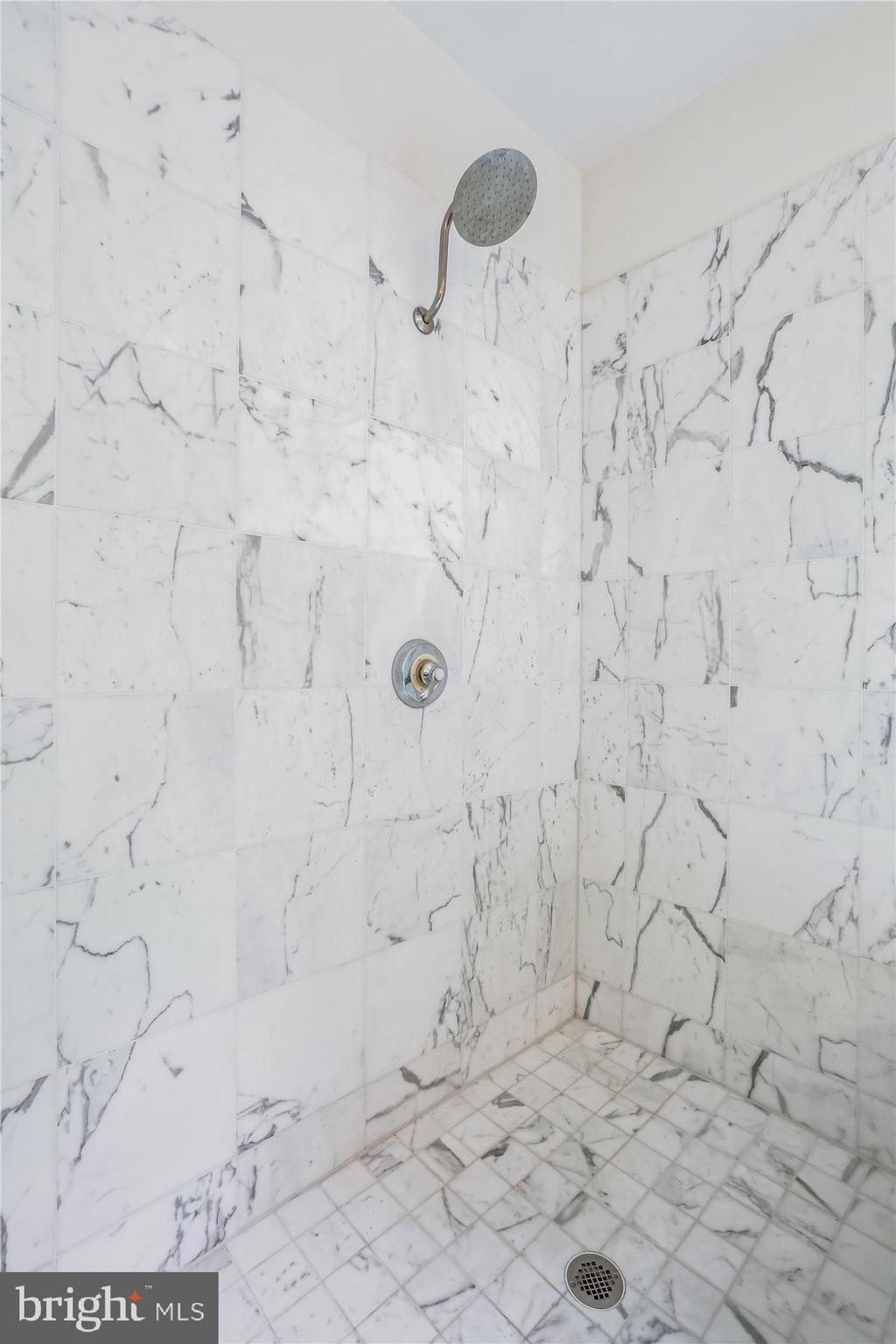 CHEVY CHASE VIEW - Residential