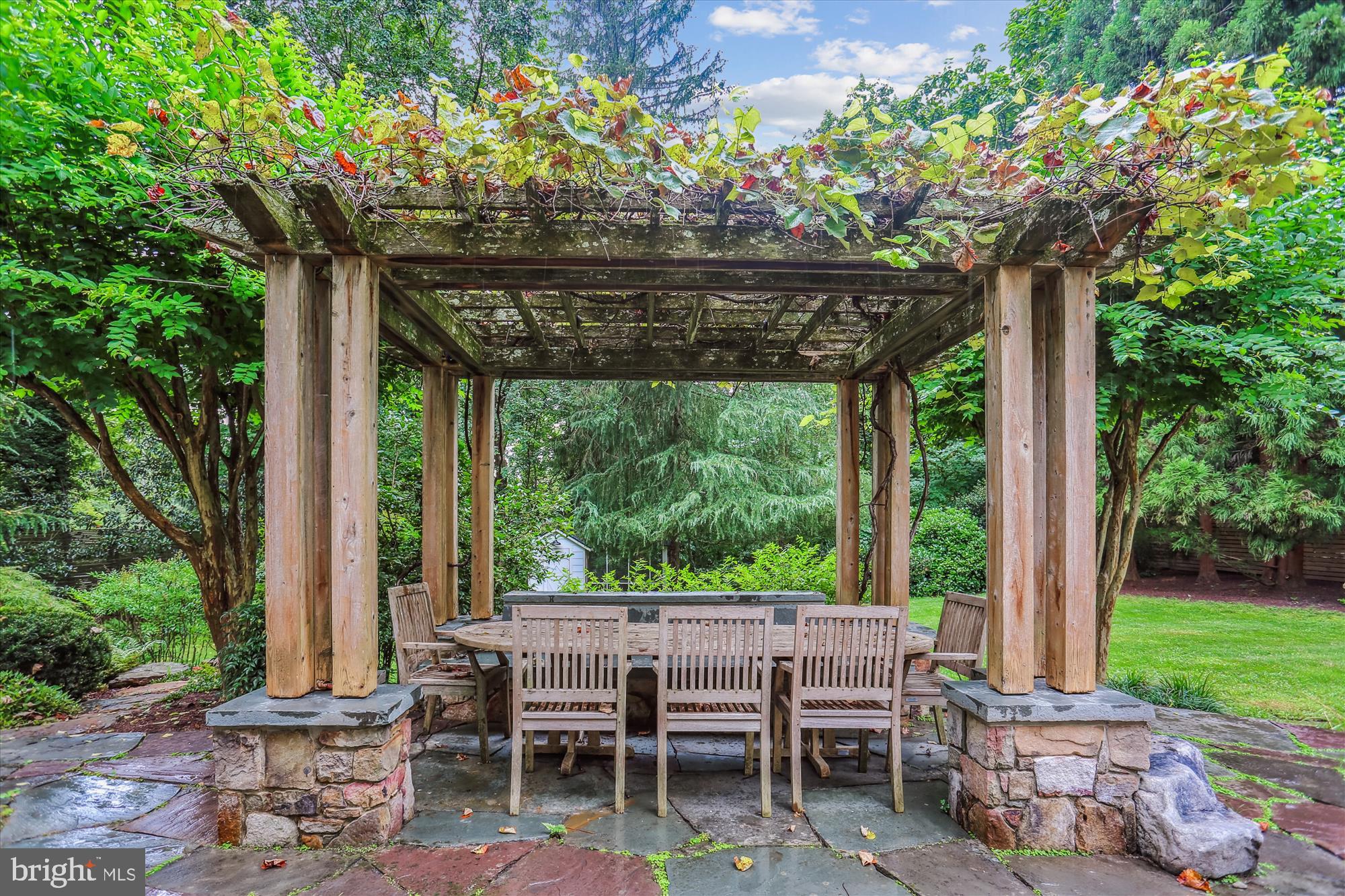 CHEVY CHASE VIEW - Residential