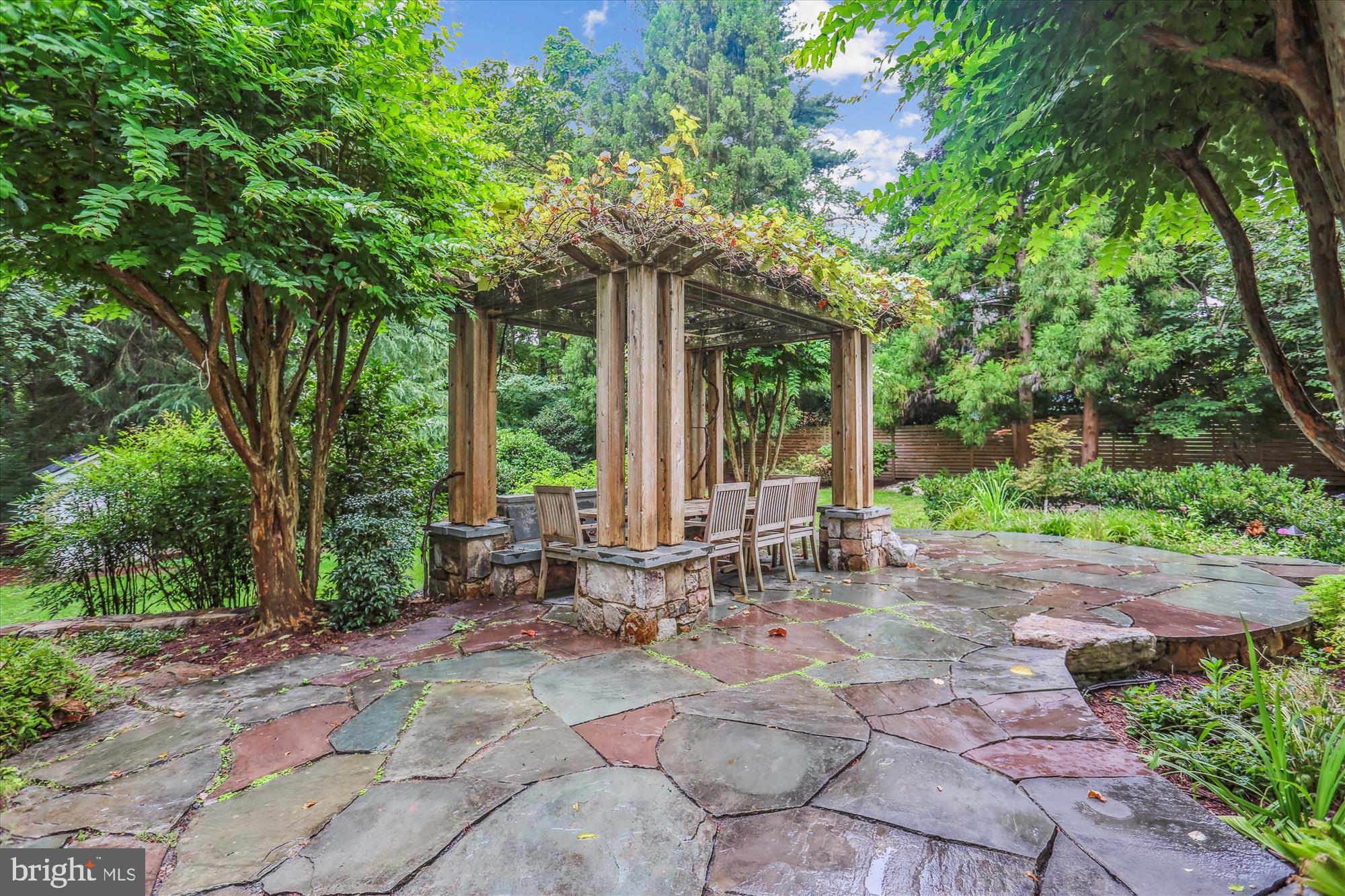 CHEVY CHASE VIEW - Residential