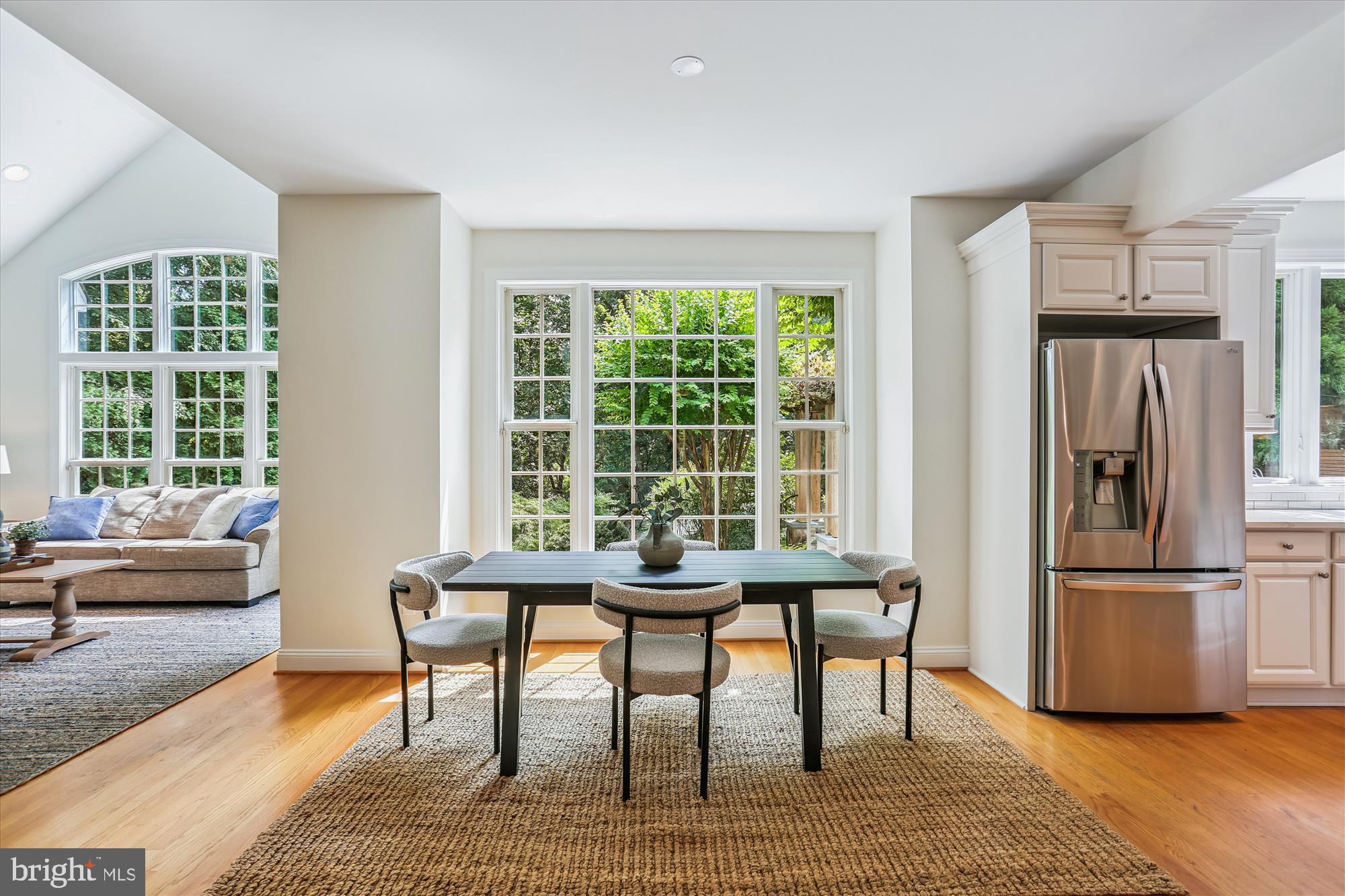 CHEVY CHASE VIEW - Residential