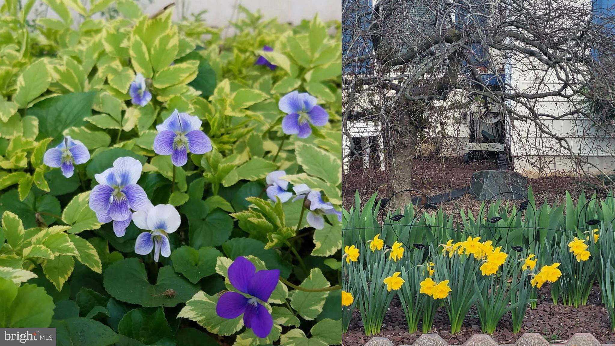 WATERSIDE - Residential