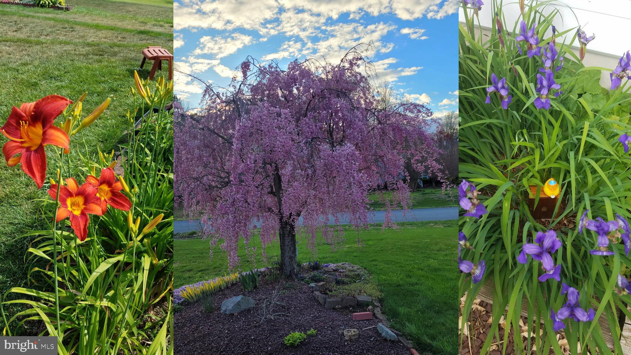 WATERSIDE - Residential