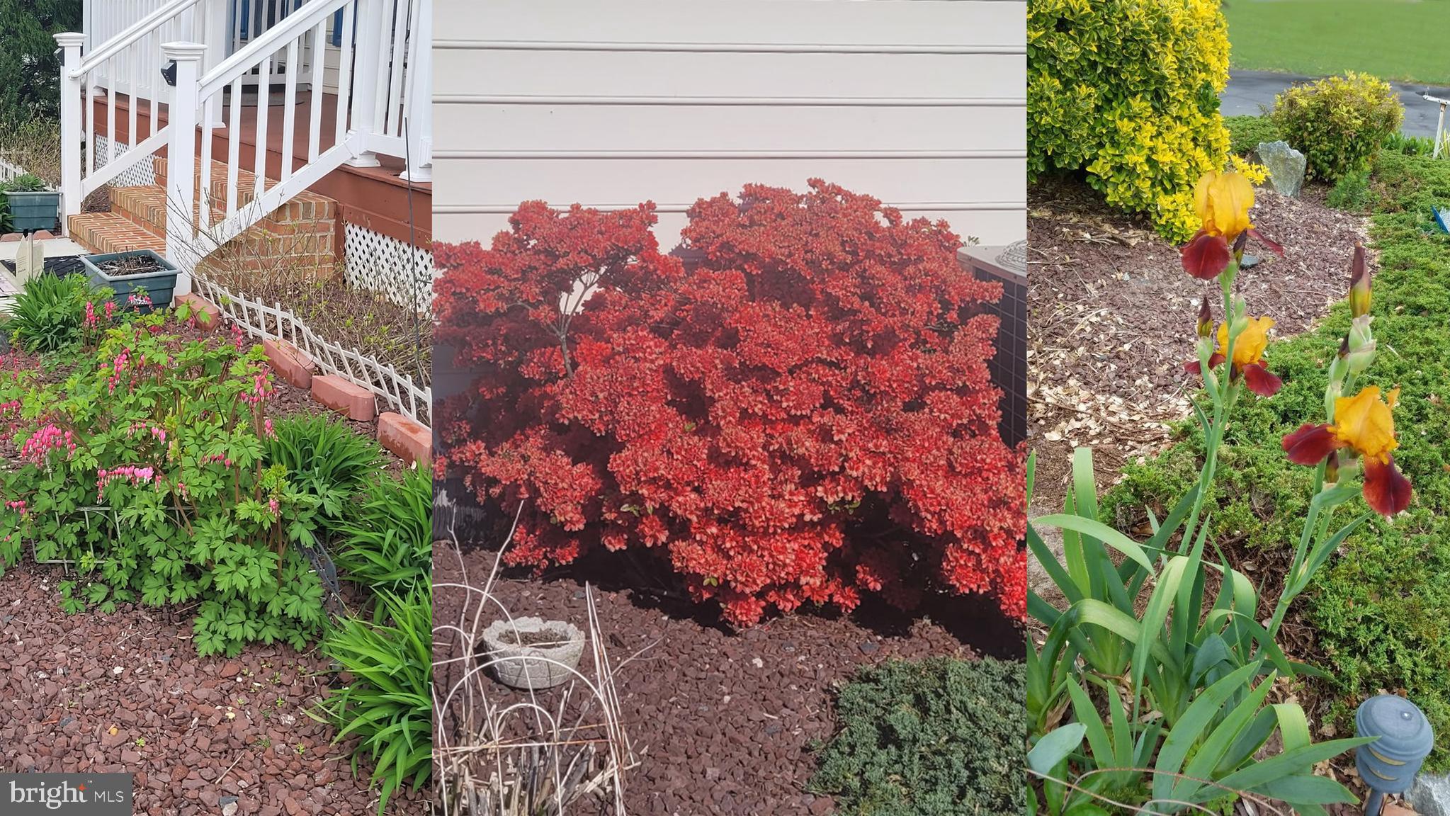 WATERSIDE - Residential