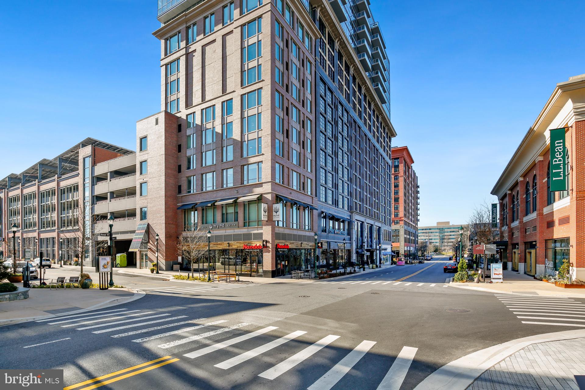 PIKE AND ROSE - Residential