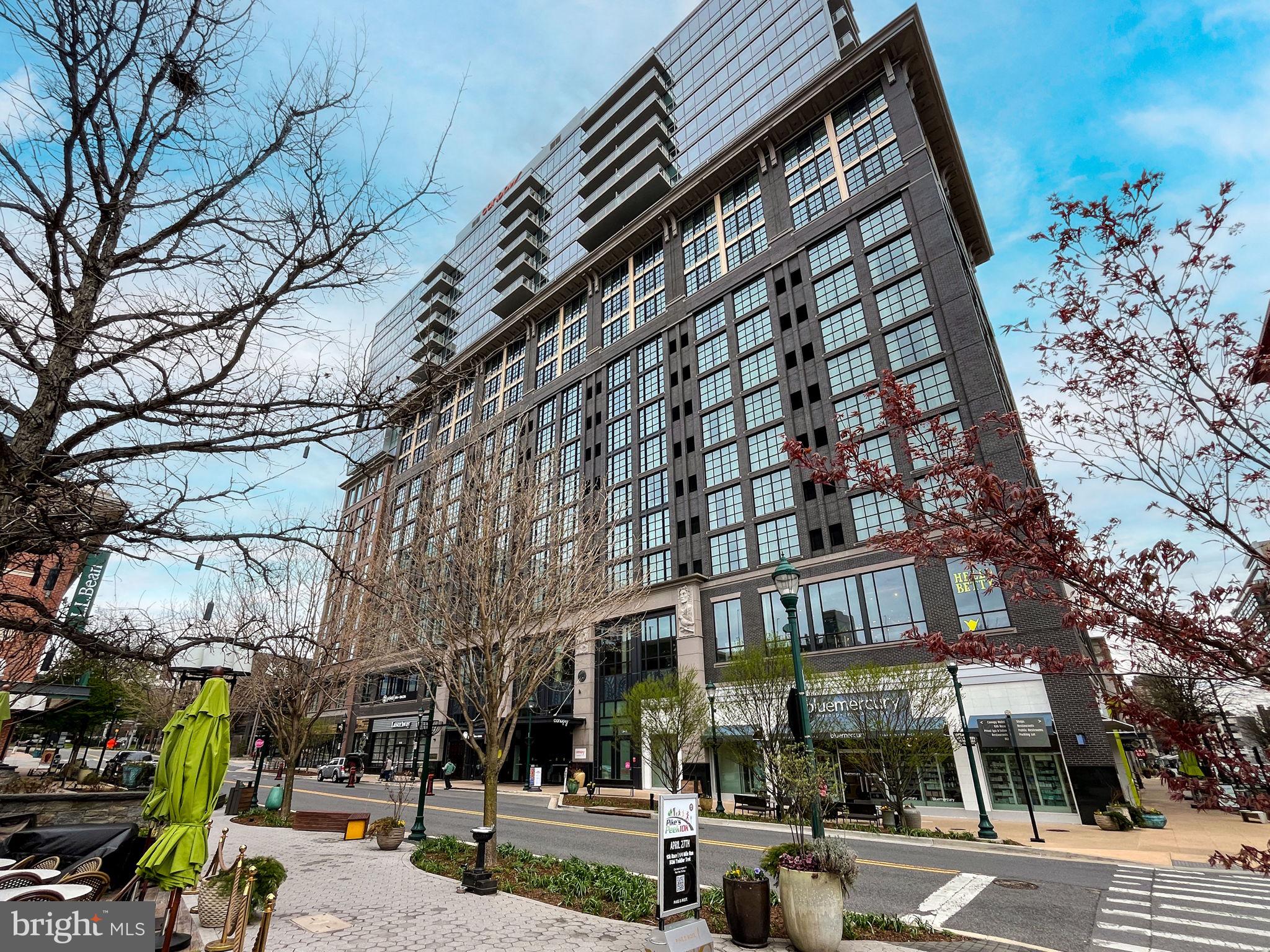 PIKE AND ROSE - Residential