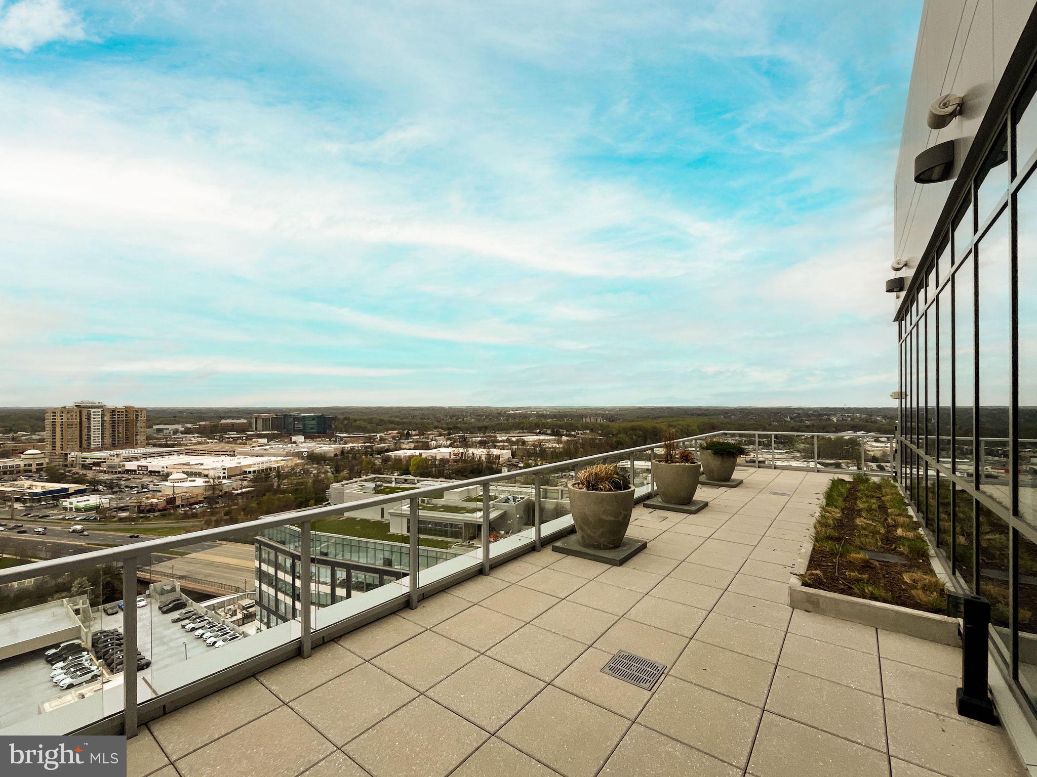 PIKE AND ROSE - Residential