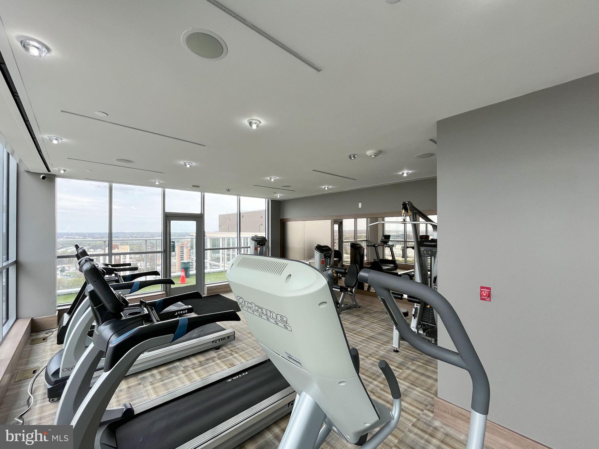 PIKE AND ROSE - Residential