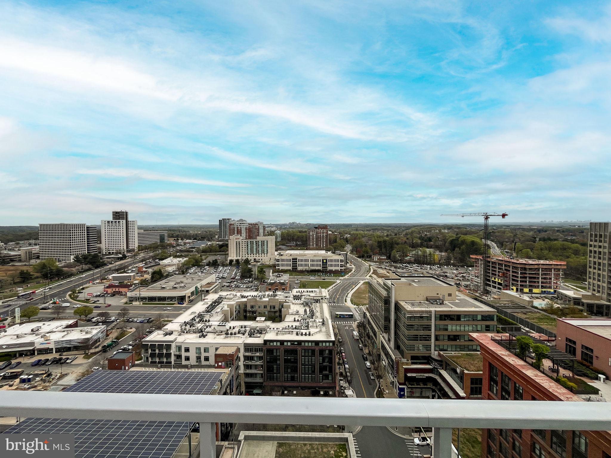 PIKE AND ROSE - Residential