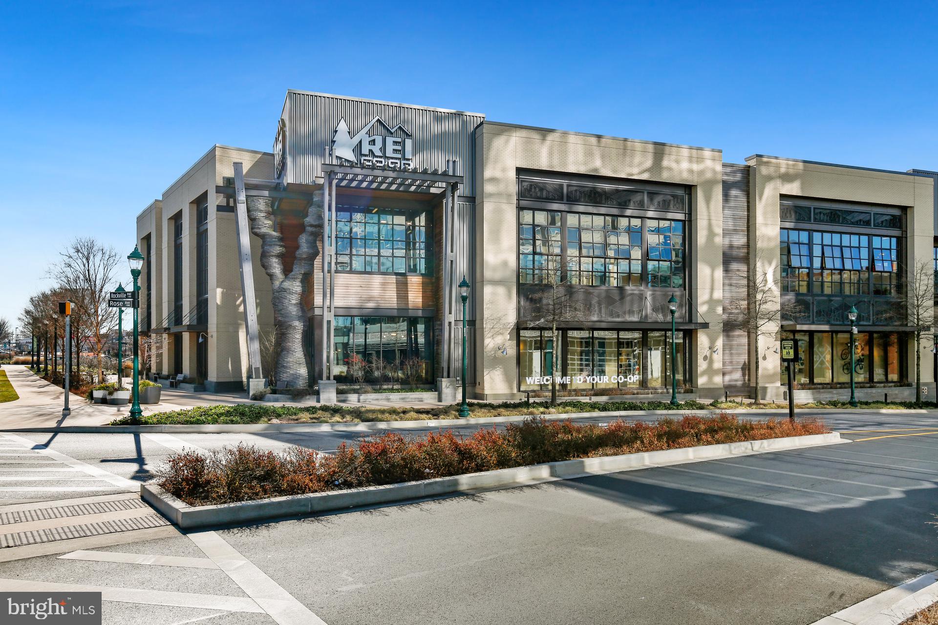 PIKE AND ROSE - Residential