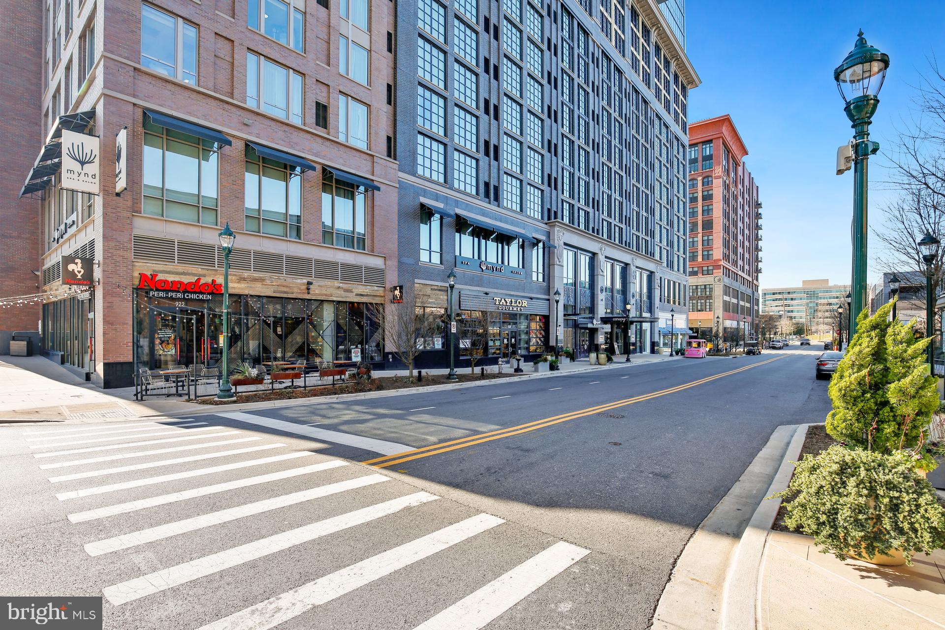 PIKE AND ROSE - Residential