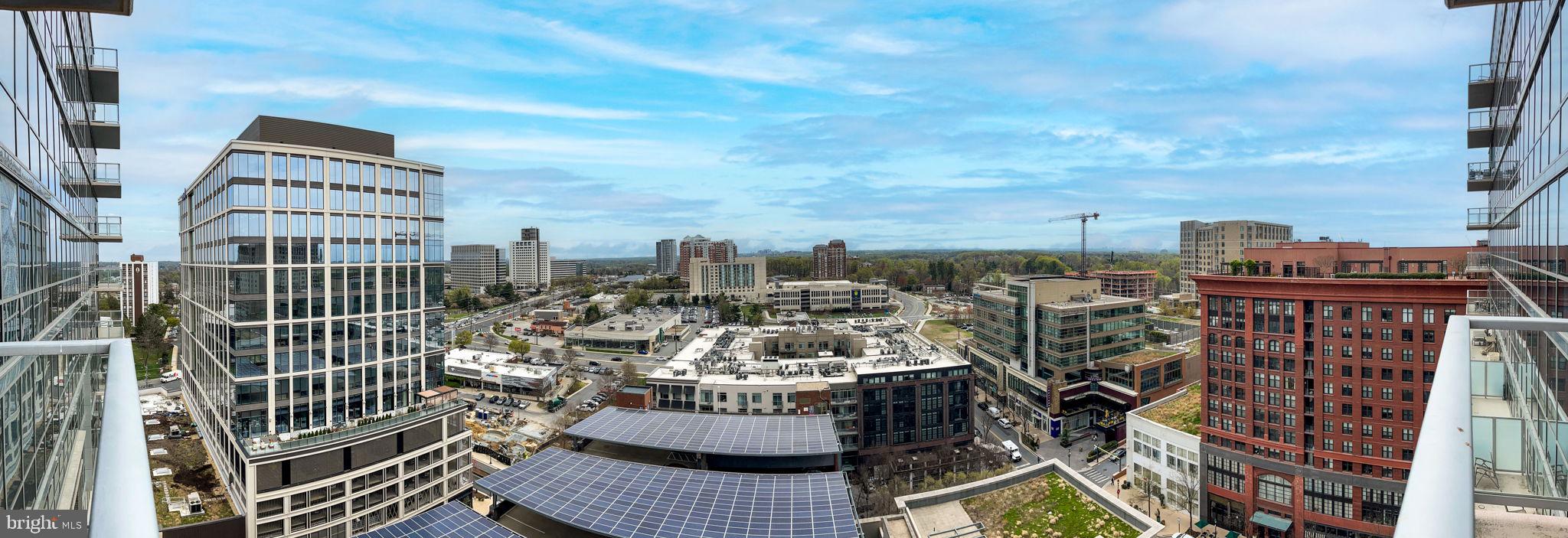 PIKE AND ROSE - Residential