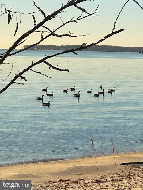 BEVERLEY BEACH - Residential