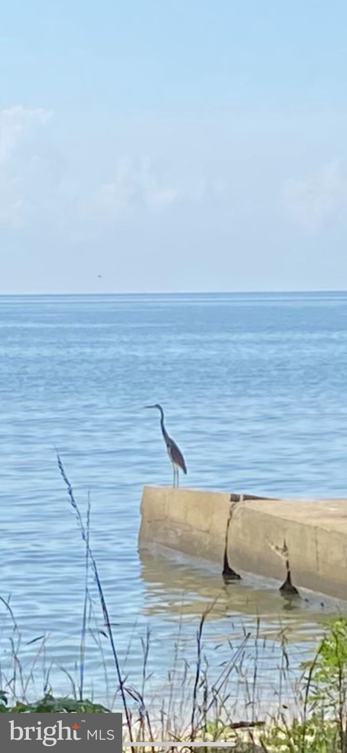 BEVERLEY BEACH - Residential