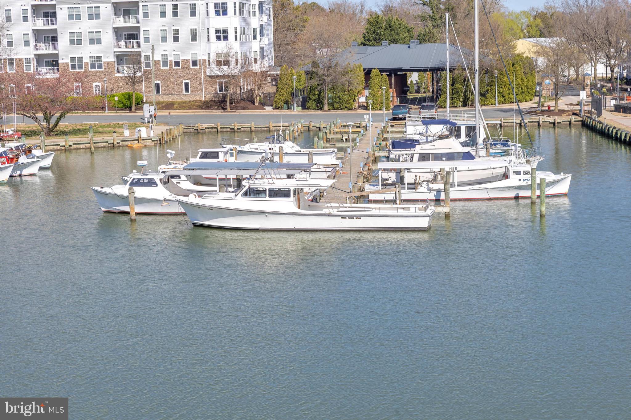 TOWNS & RESIDENCES AT WATERSIDE - Residential