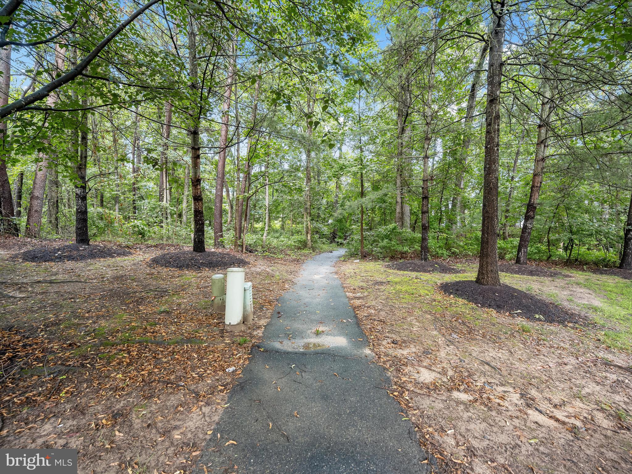 WOODLAND WALK - Residential