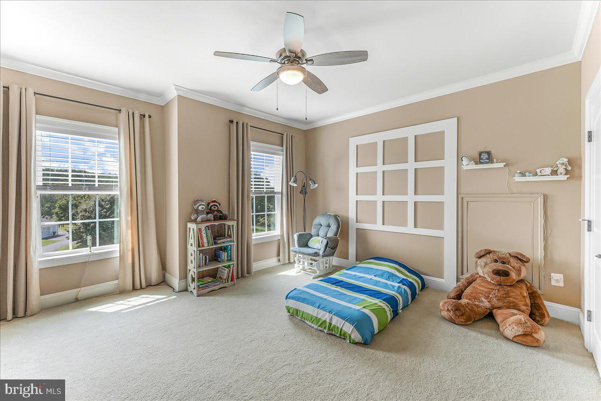 SCALEBY FARM - Residential