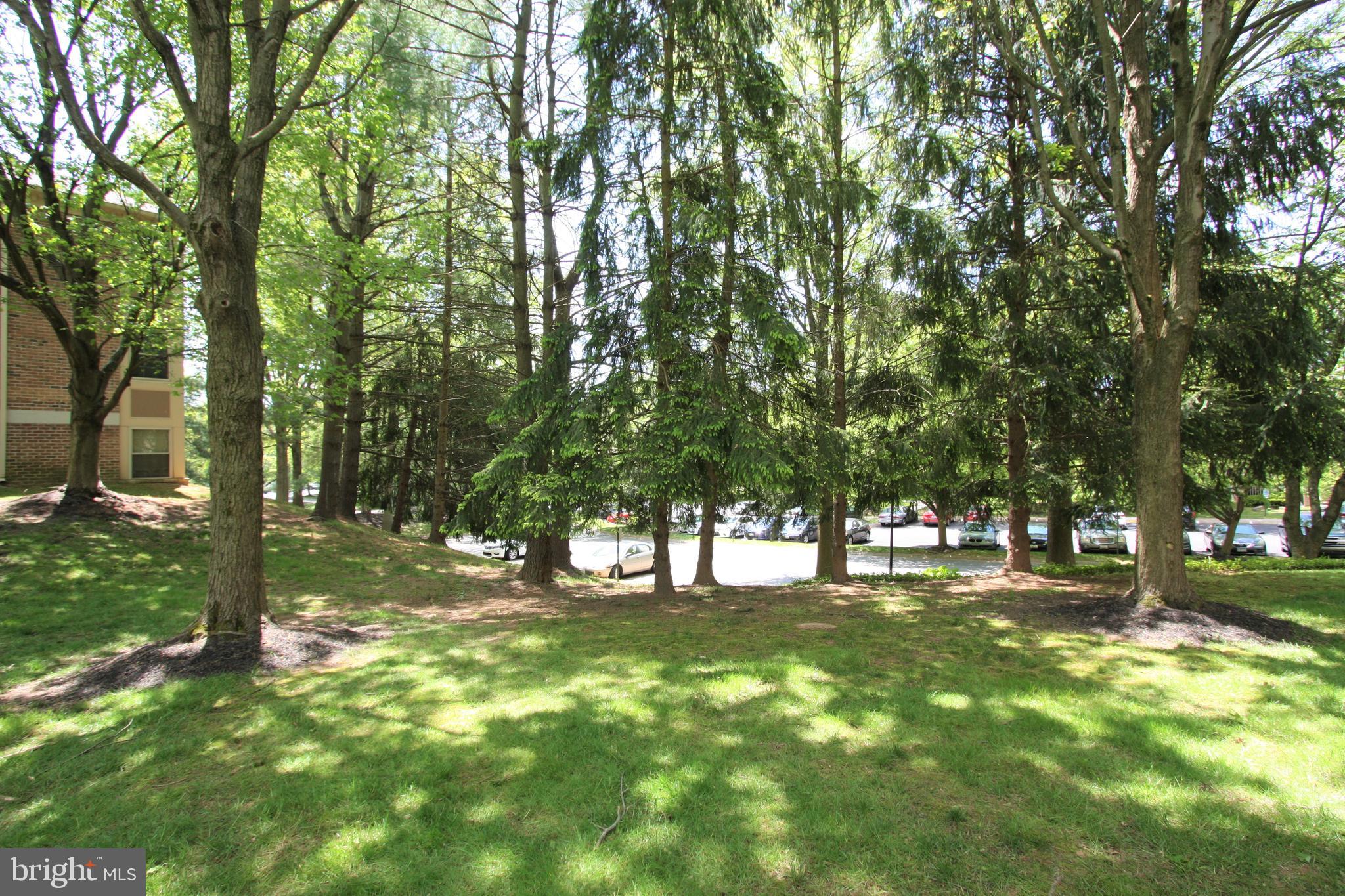 THE POINTE - Residential Lease