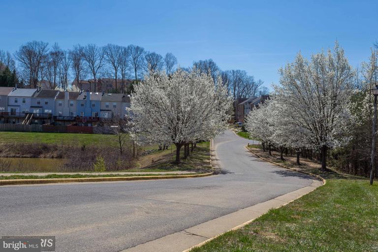 STONE RIVER - Residential Lease