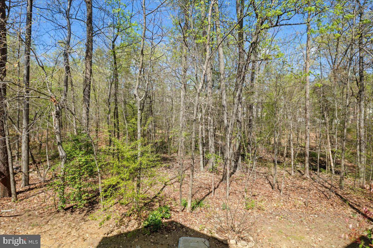 KINGSTOWNE - Residential