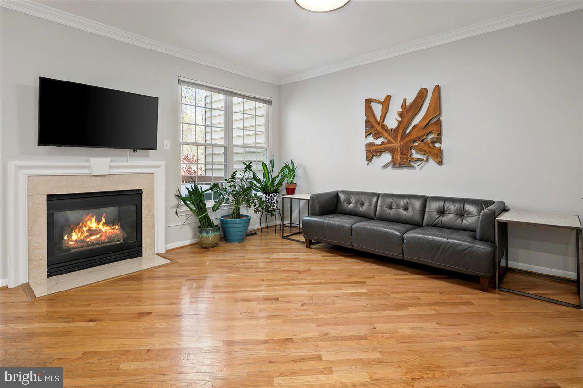 KINGSTOWNE - Residential