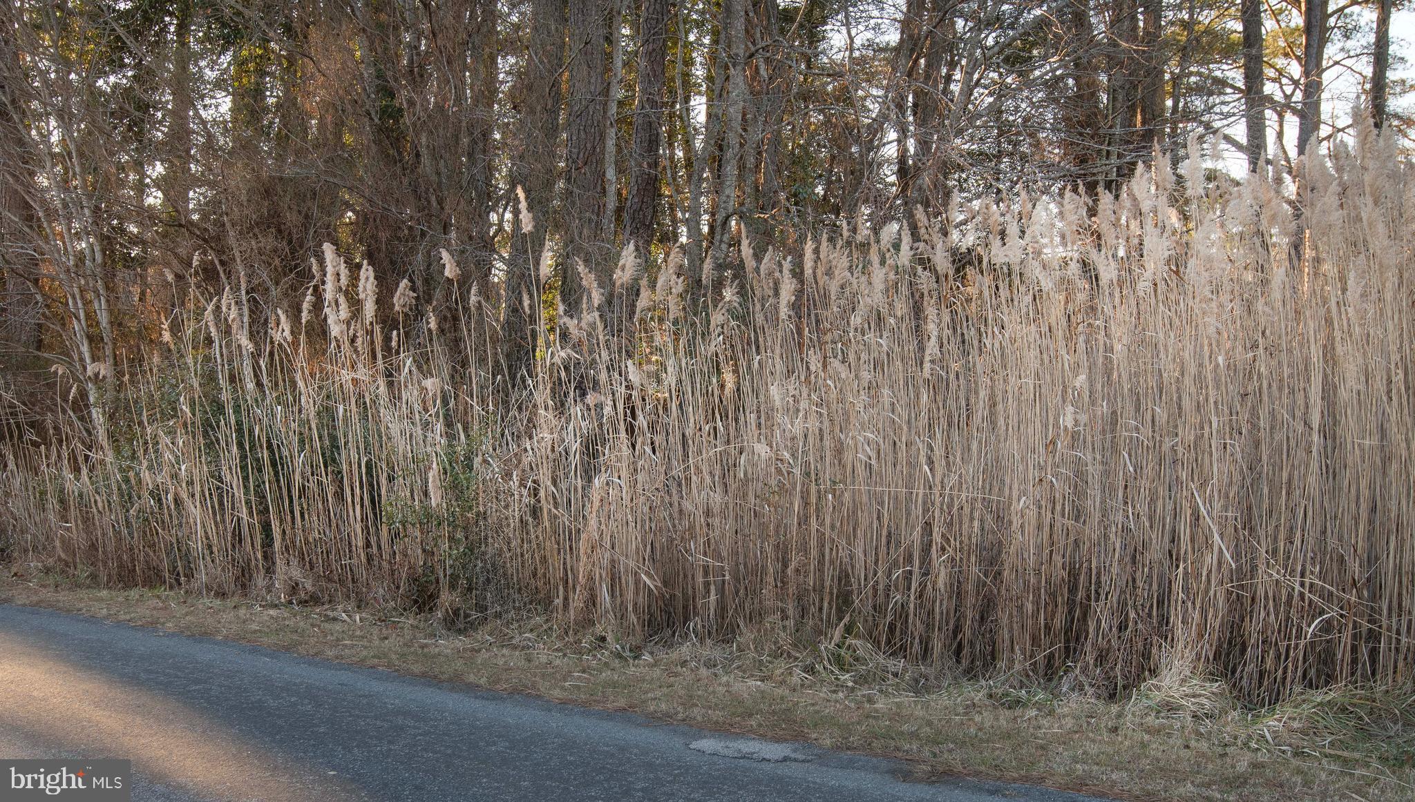 Lot 429 CAPTAINS CORRIDOR