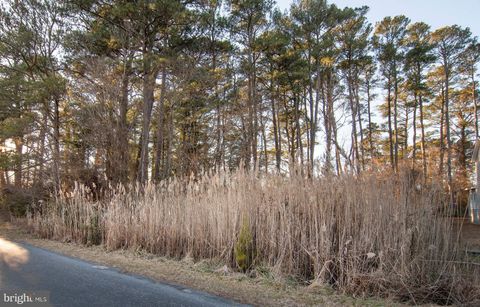 Vacant Land For Sale - LOT 429 Captains Corridor<br/> Accomack County, GREENBACKVILLE, VA 23356