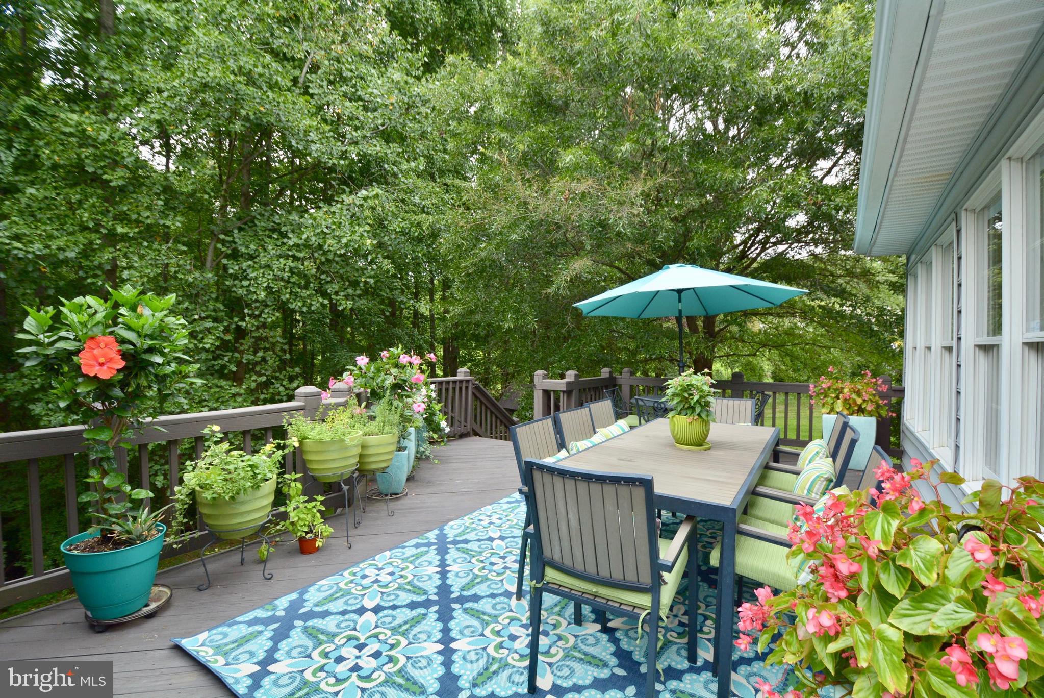 HUNTER MILL ESTATES - Residential