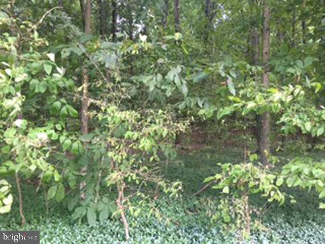 NONE AVAILABLE - Land