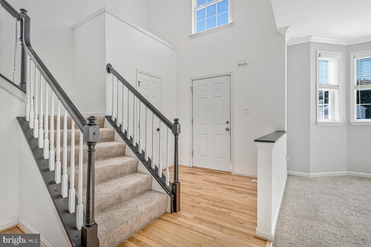 2311 ASHFORD LANE