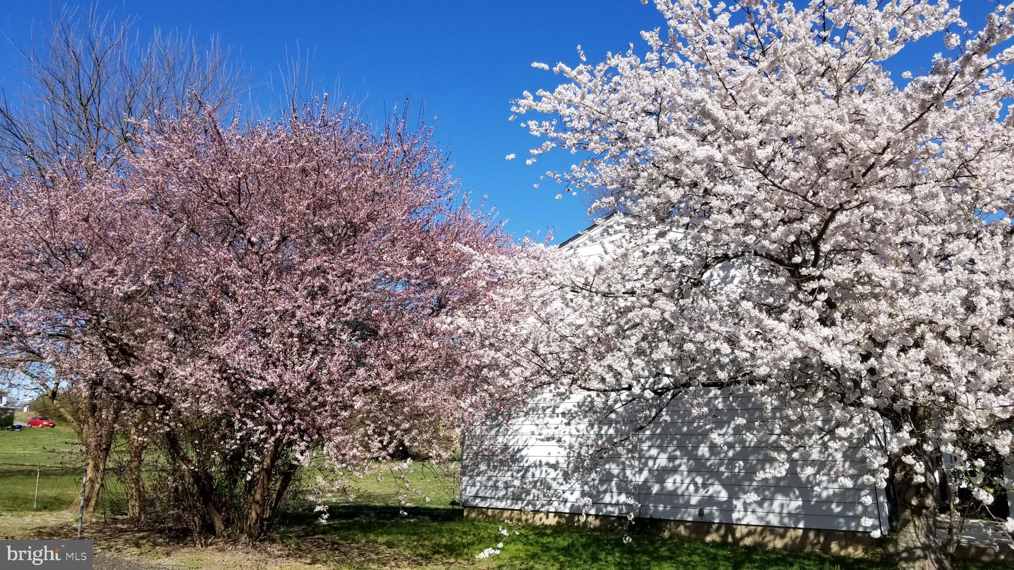SHERATON HILLS - Residential