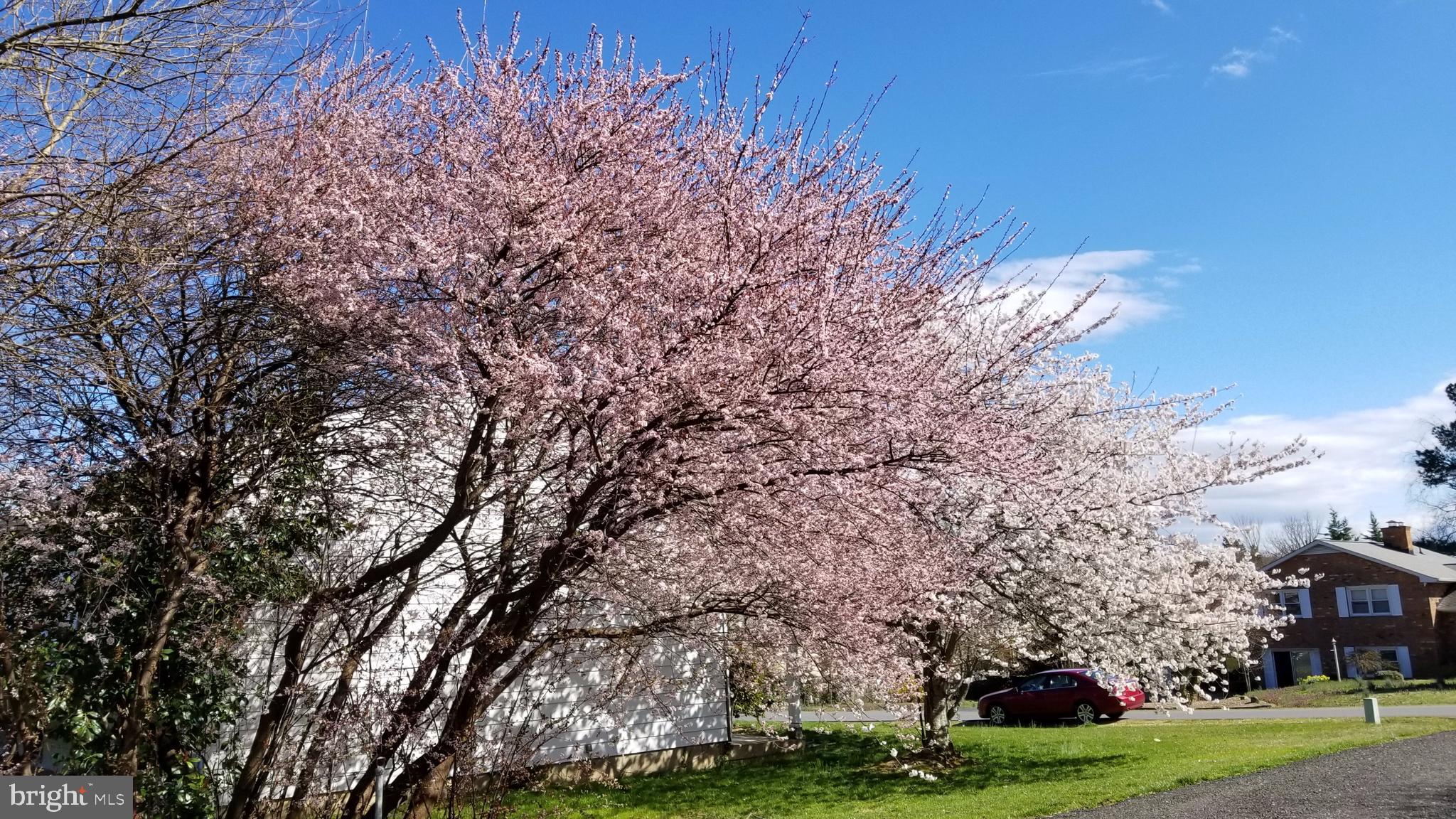 SHERATON HILLS - Residential