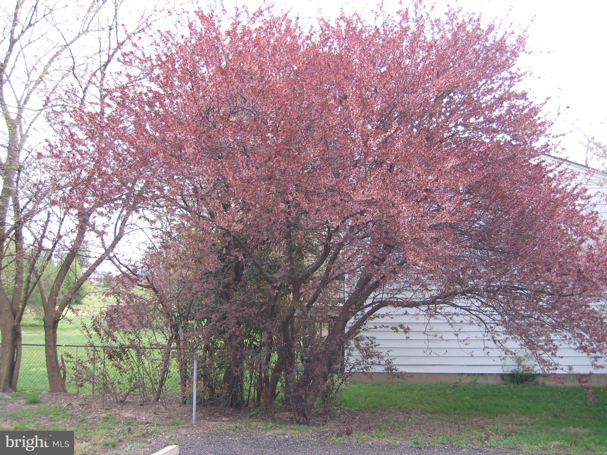 SHERATON HILLS - Residential