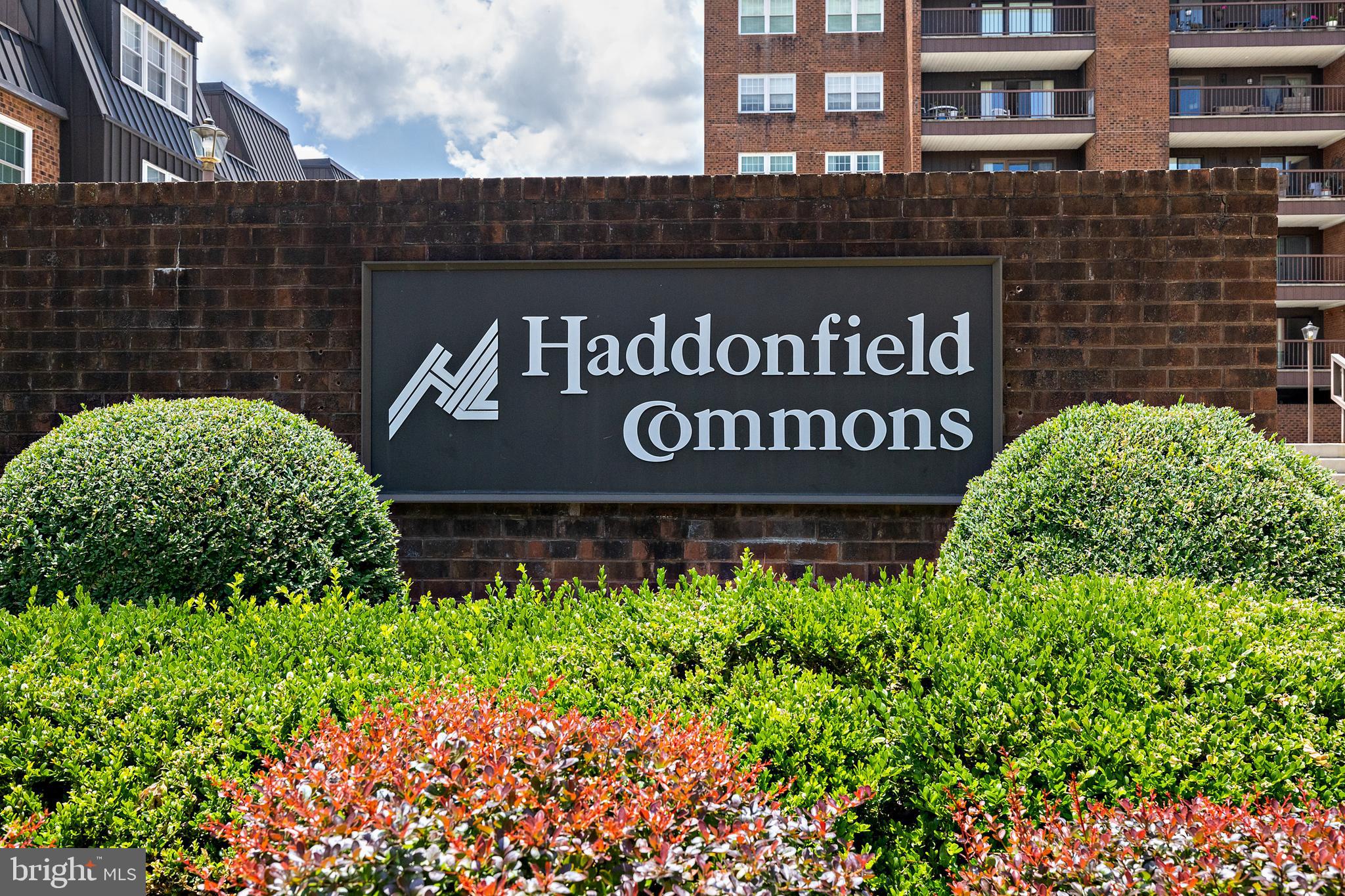 14 HADDONFIELD CMNS 14