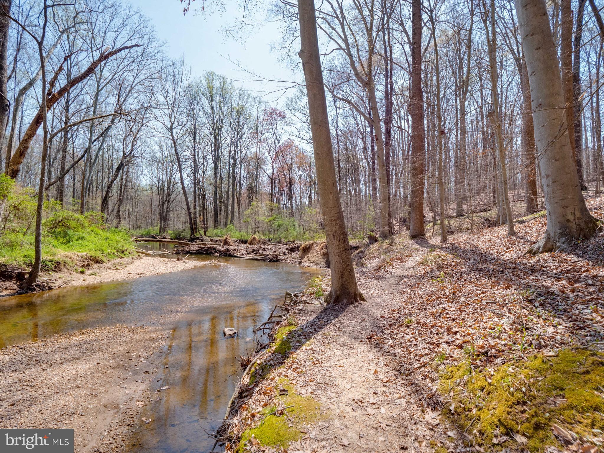 SHANNON STATION - Residential