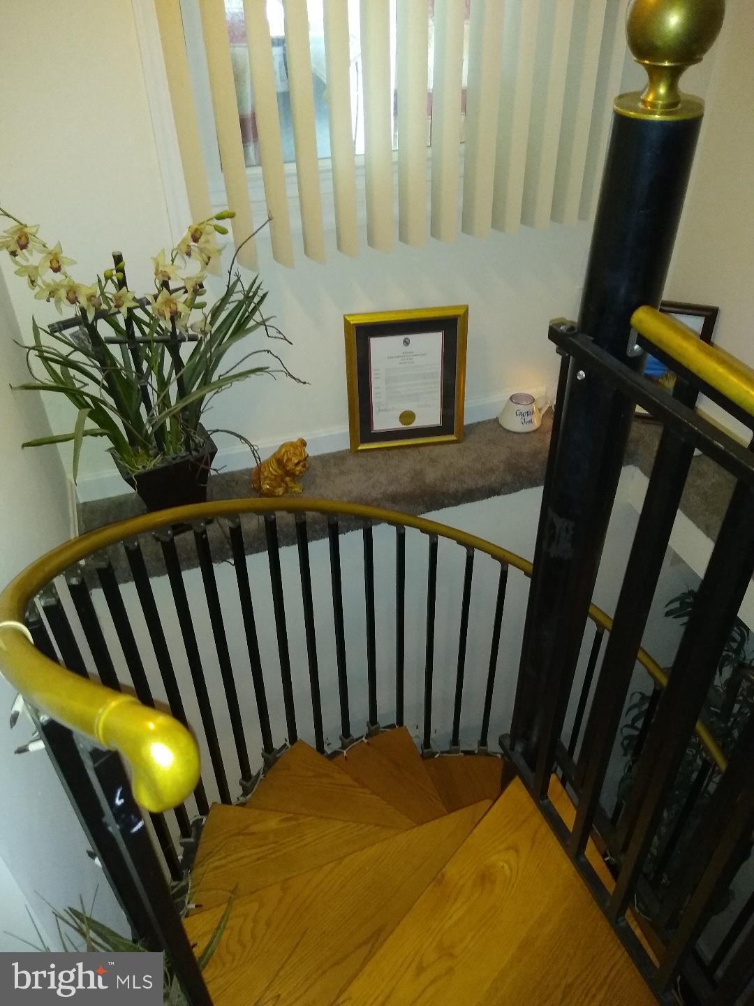 THE PLAINS - Residential