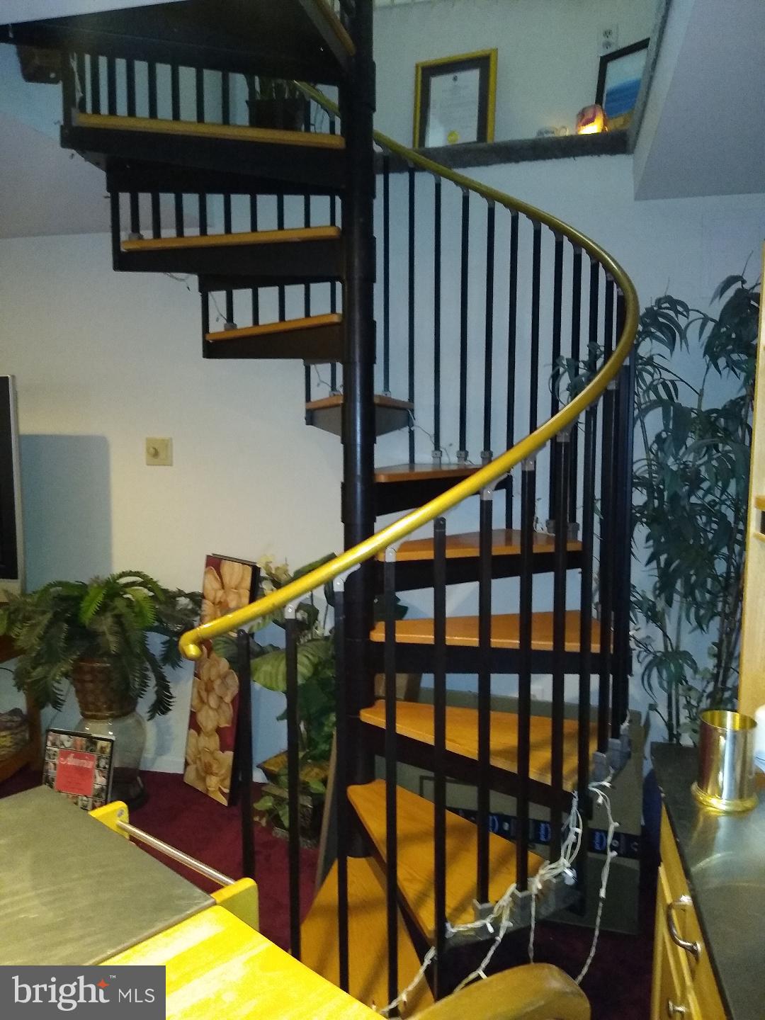 THE PLAINS - Residential