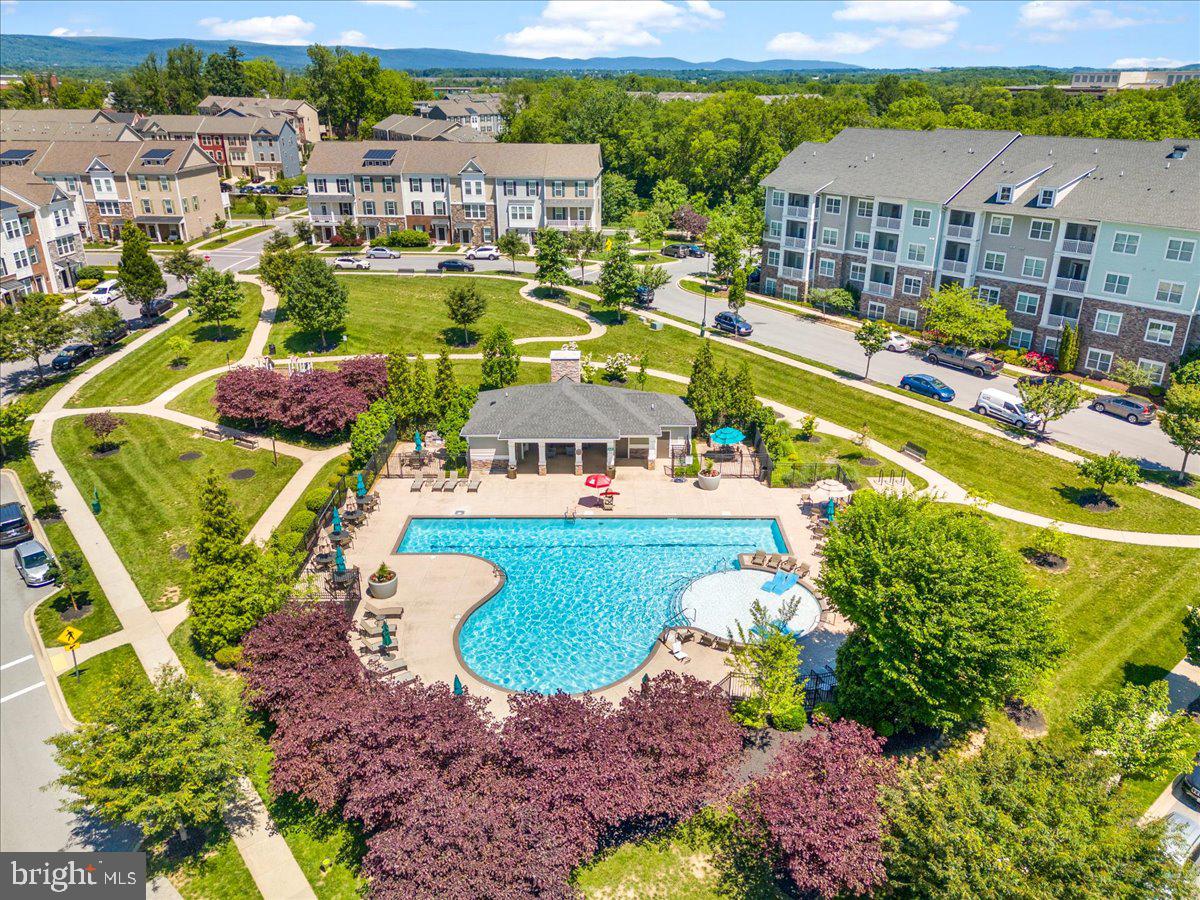 MARKET SQUARE - Residential Lease